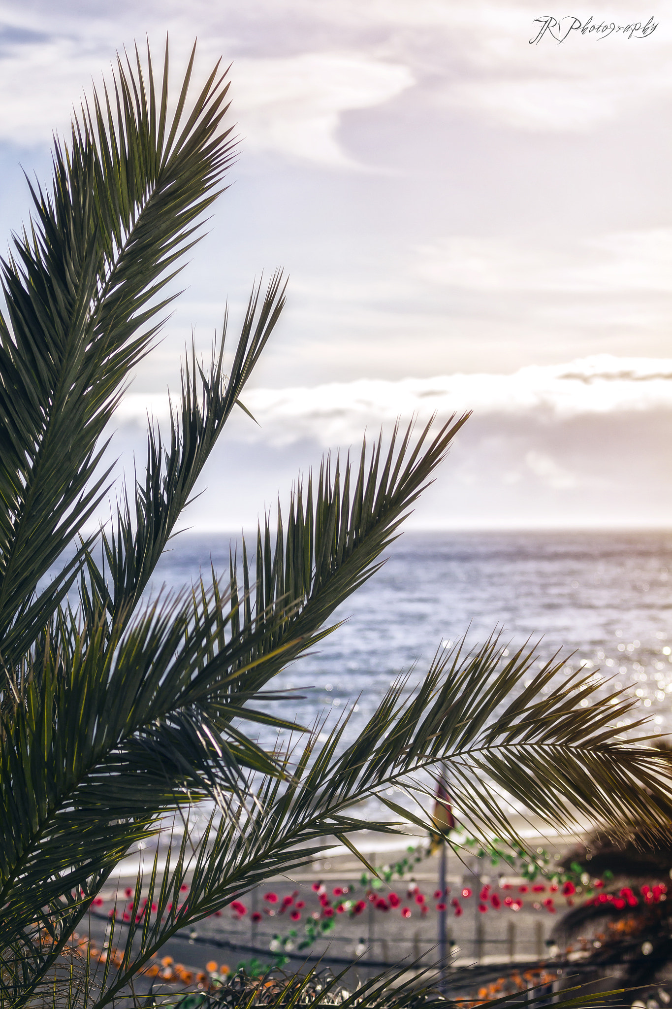 Canon EF 70-200mm F2.8L IS II USM sample photo. Hotel view (madeira) photography