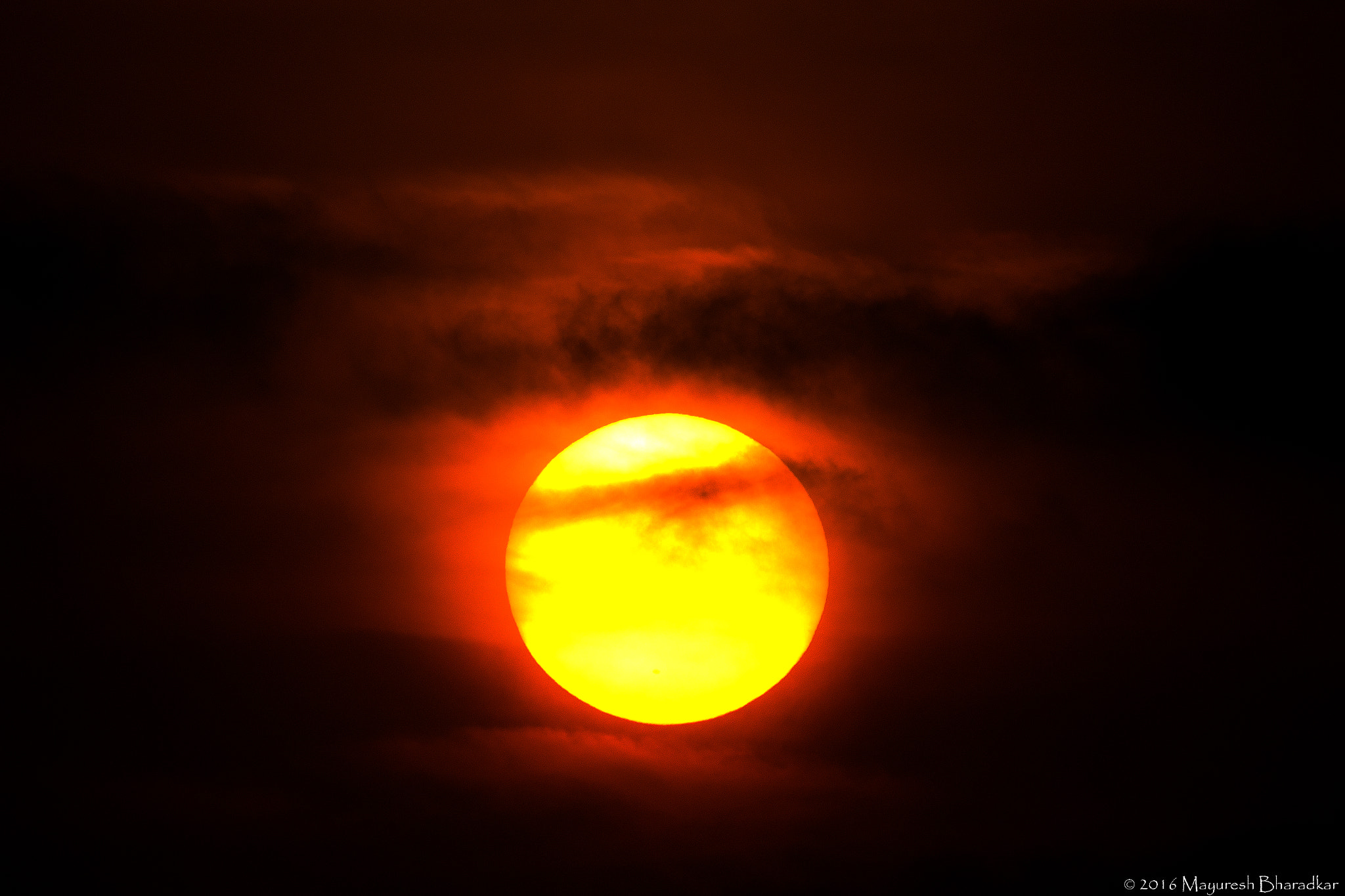 150-600mm F5-6.3 DG OS HSM | Contemporary 015 sample photo. Golden star. photography