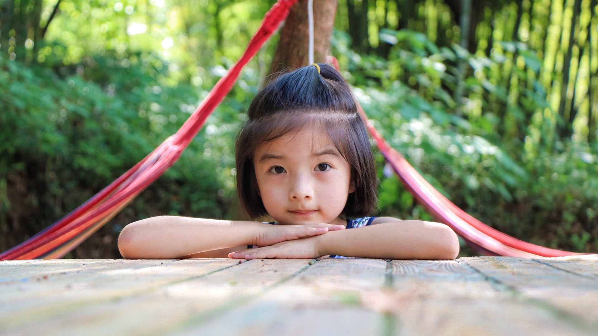 Canon EOS 760D (EOS Rebel T6s / EOS 8000D) sample photo