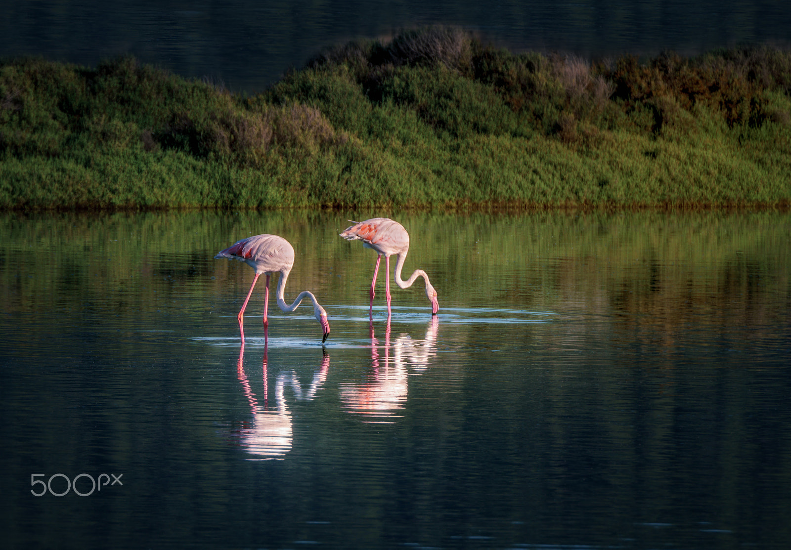 Sony a7R II + Sony FE 70-200mm F2.8 GM OSS sample photo. Ibiza first lights in ses salinas photography