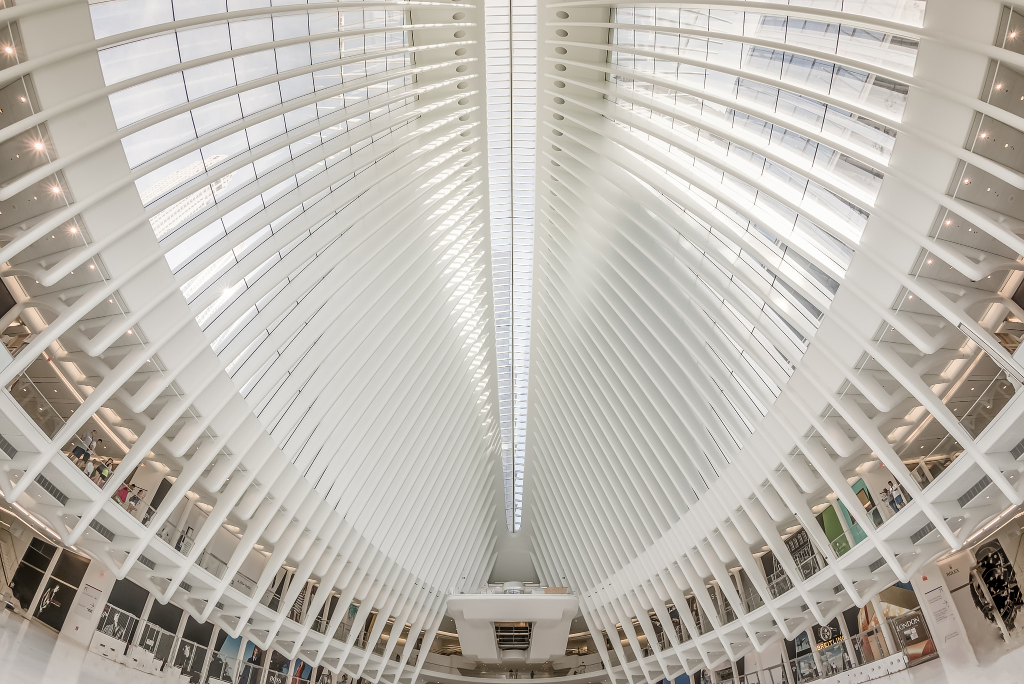 Nikon D800 + Nikon AF Fisheye-Nikkor 16mm F2.8D sample photo. Open wide photography