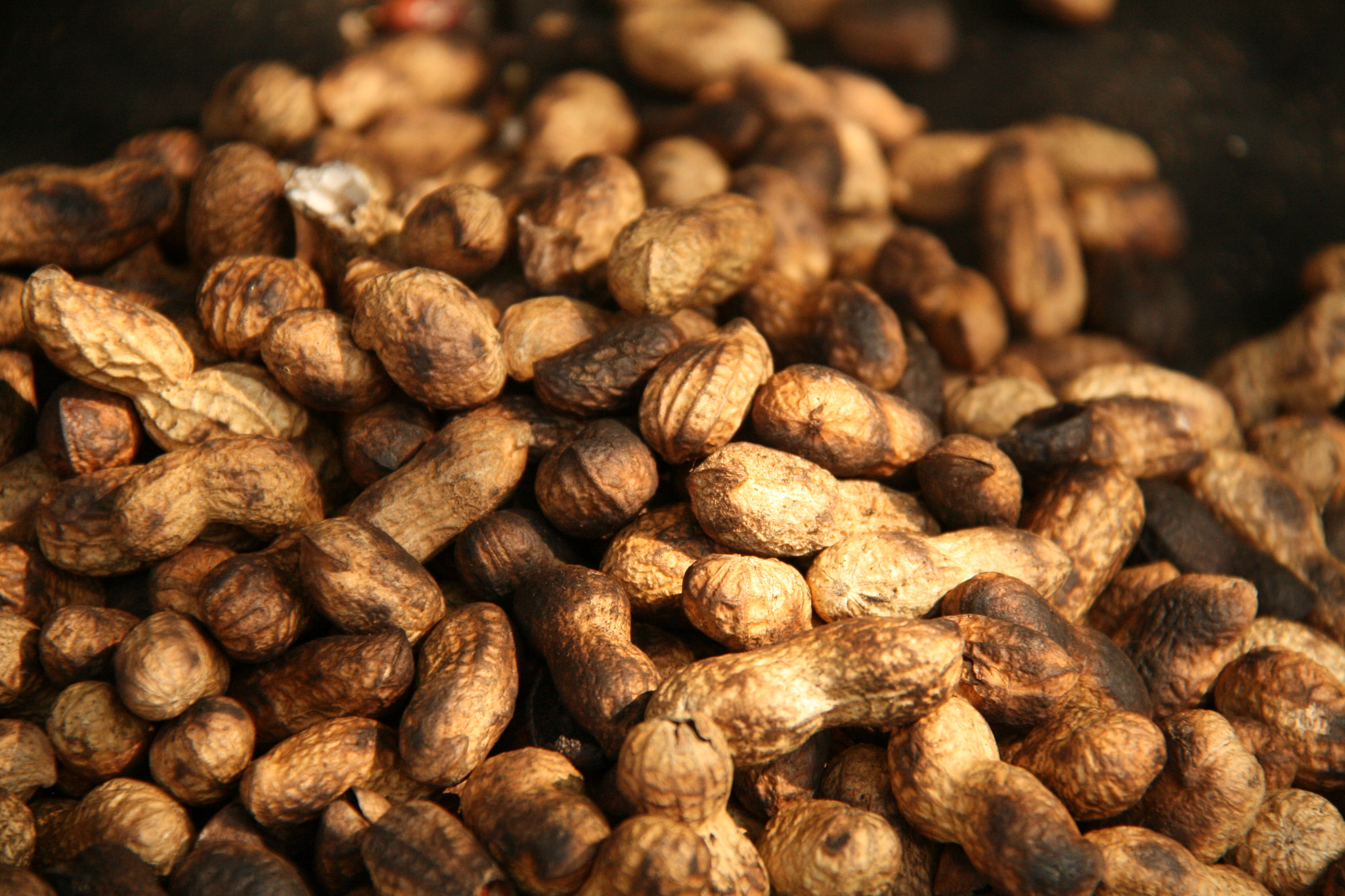 Canon EF-S 18-200mm F3.5-5.6 IS sample photo. Peanuts photography