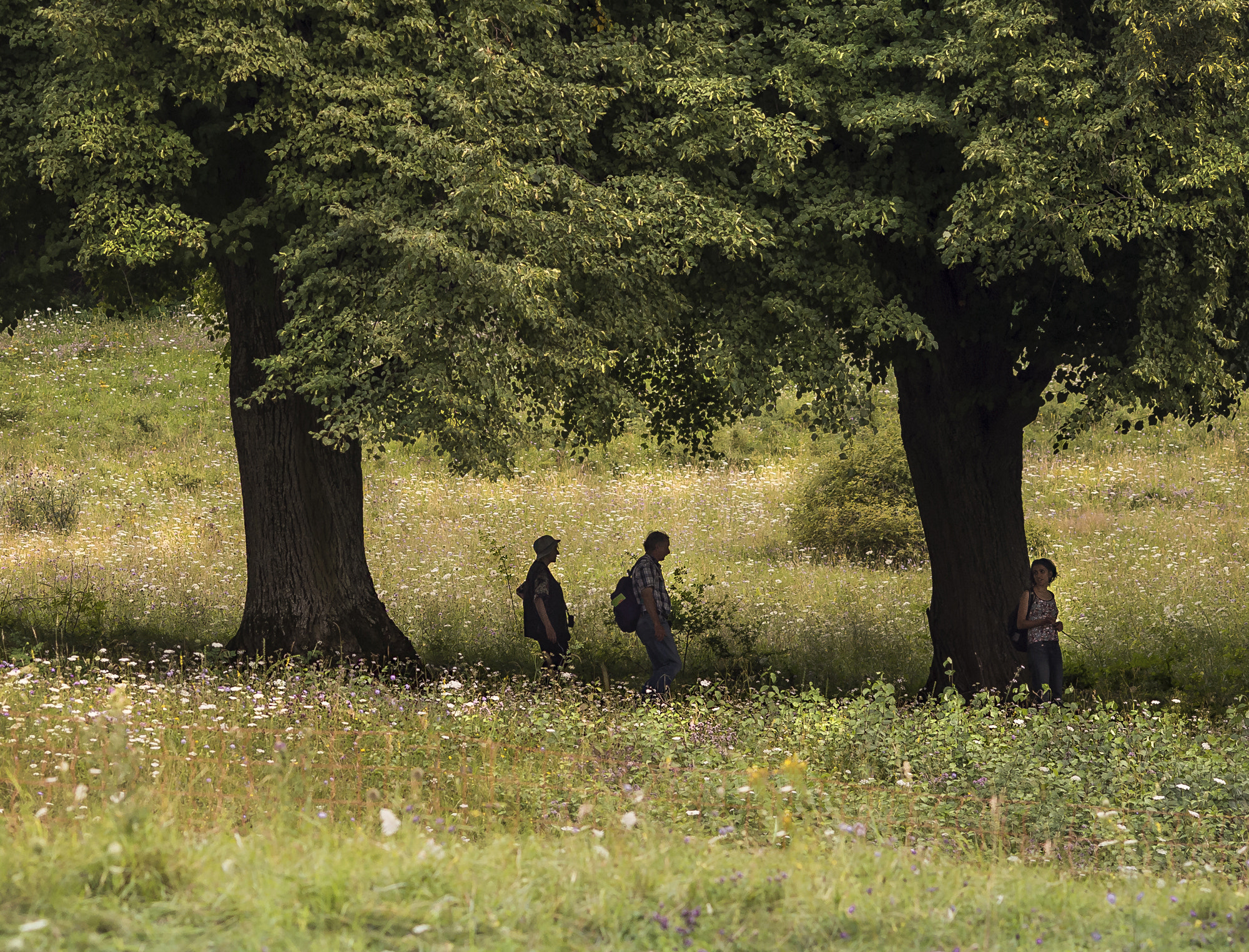 Nikon Df + AF DC-Nikkor 135mm f/2D sample photo. Sonntagsspaziergang photography