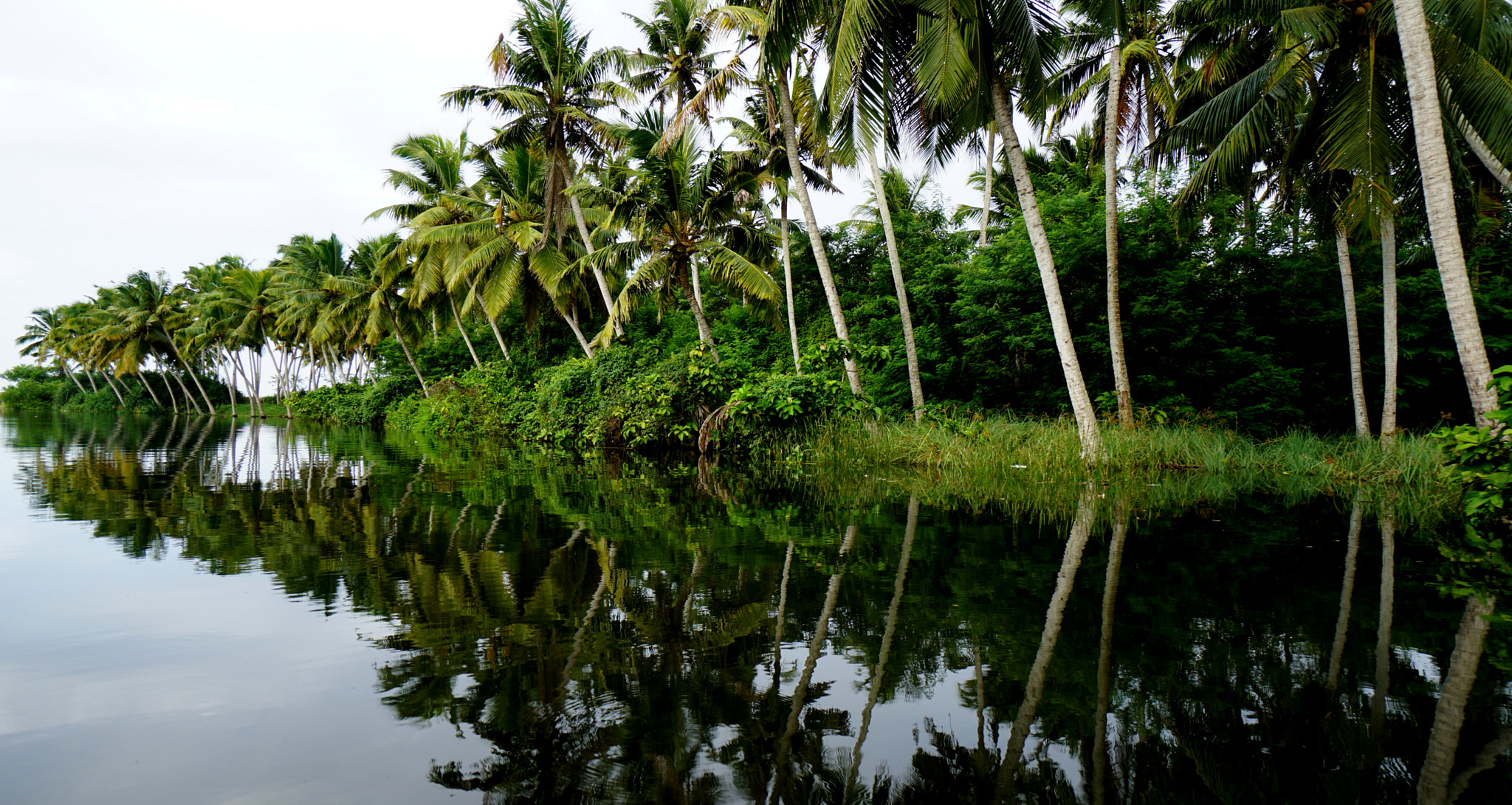 Sony a6000 + Sony E 10-18mm F4 OSS sample photo. Poovar island backwaters photography