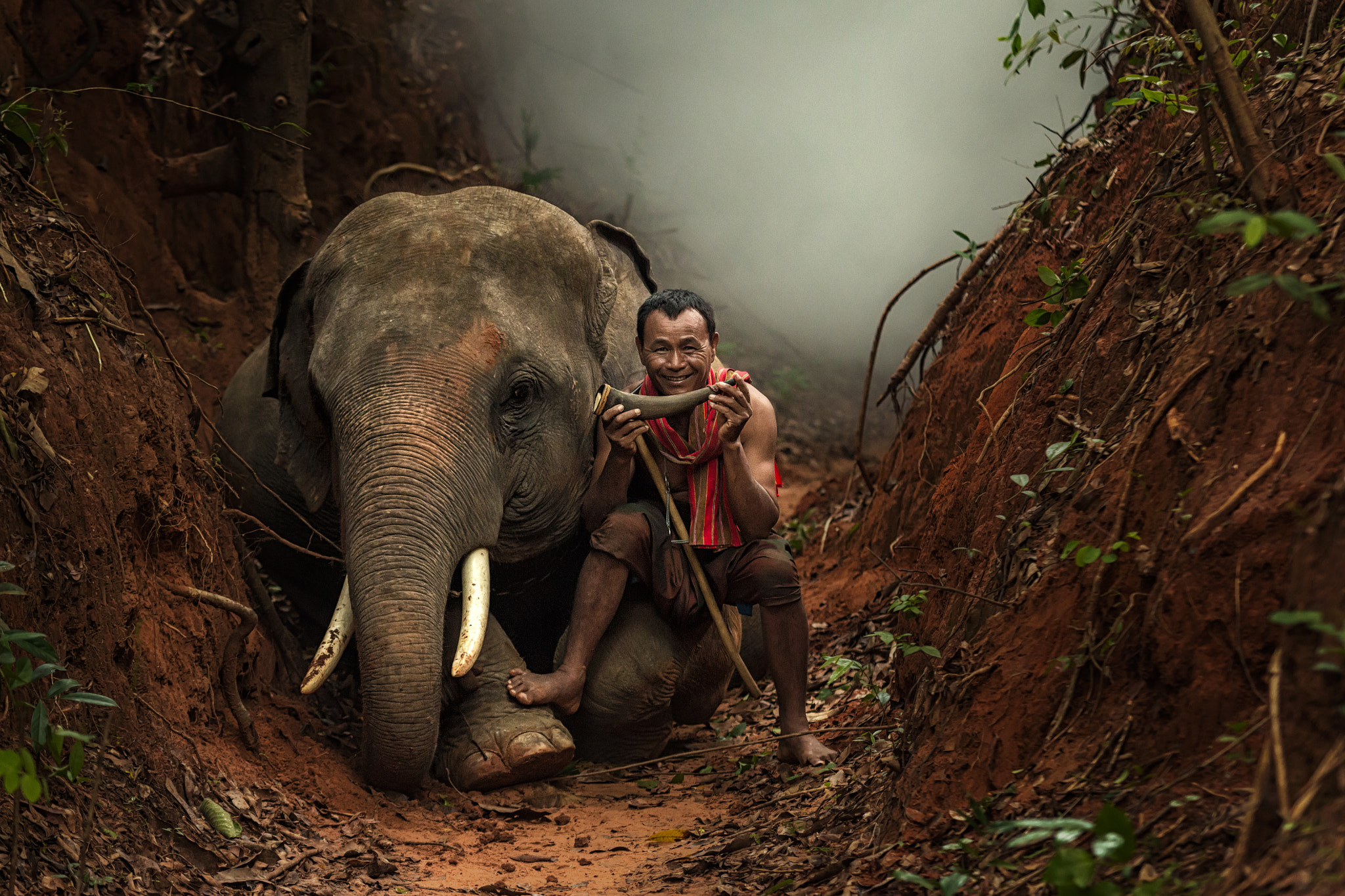 Canon EOS 70D + Sigma 70-200mm F2.8 EX DG OS HSM sample photo. Elephants and elephant mahout. photography