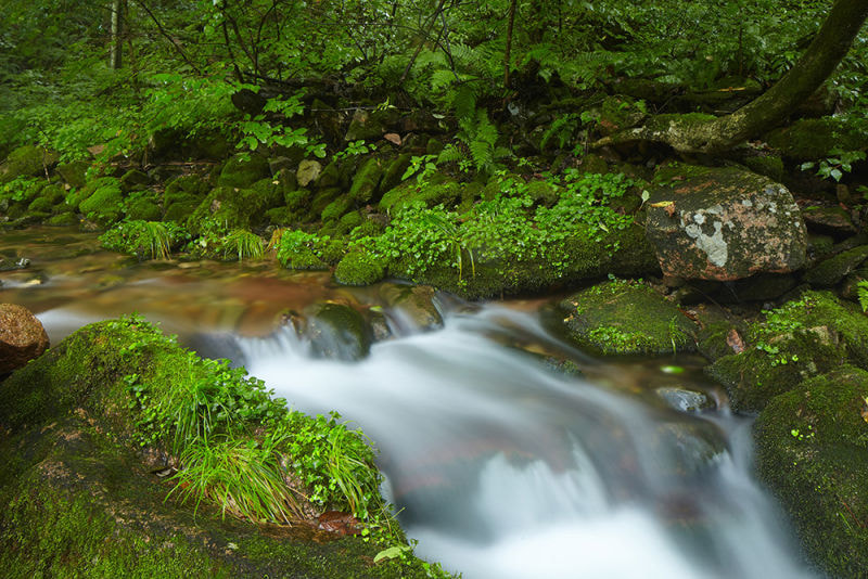Canon TS-E 24mm F3.5L II Tilt-Shift sample photo. 本溪绿石谷 photography