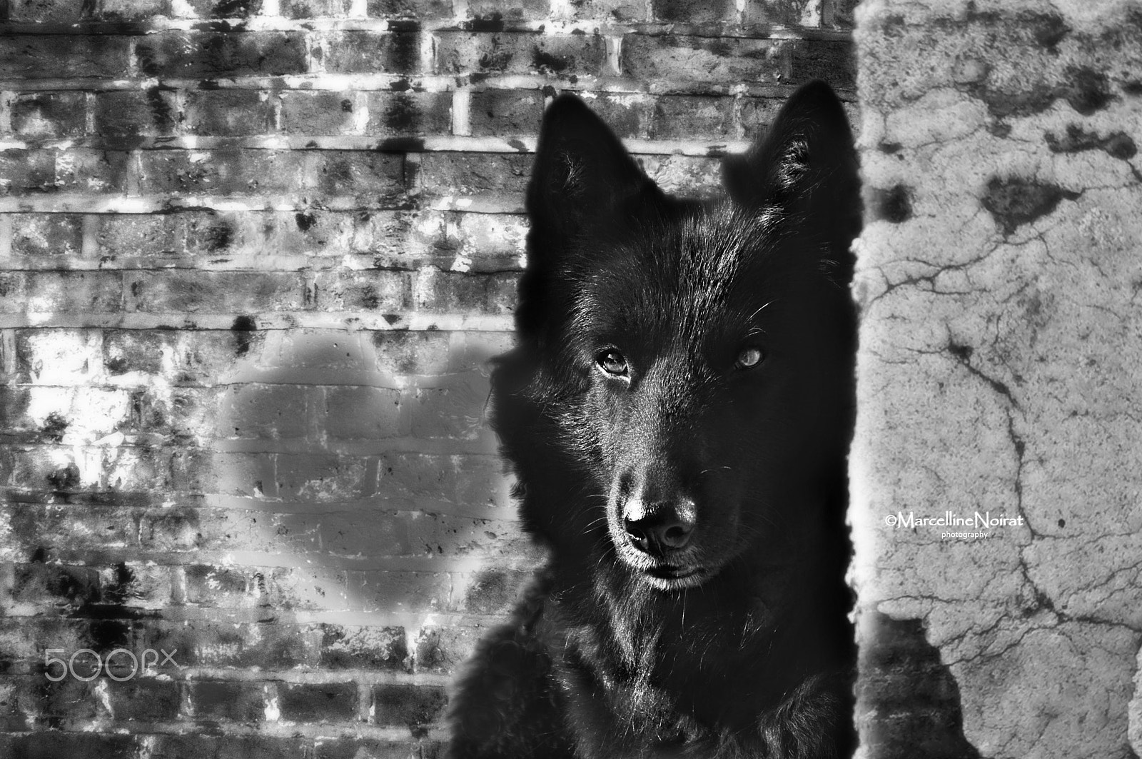 Nikon D5000 sample photo. My girl photography