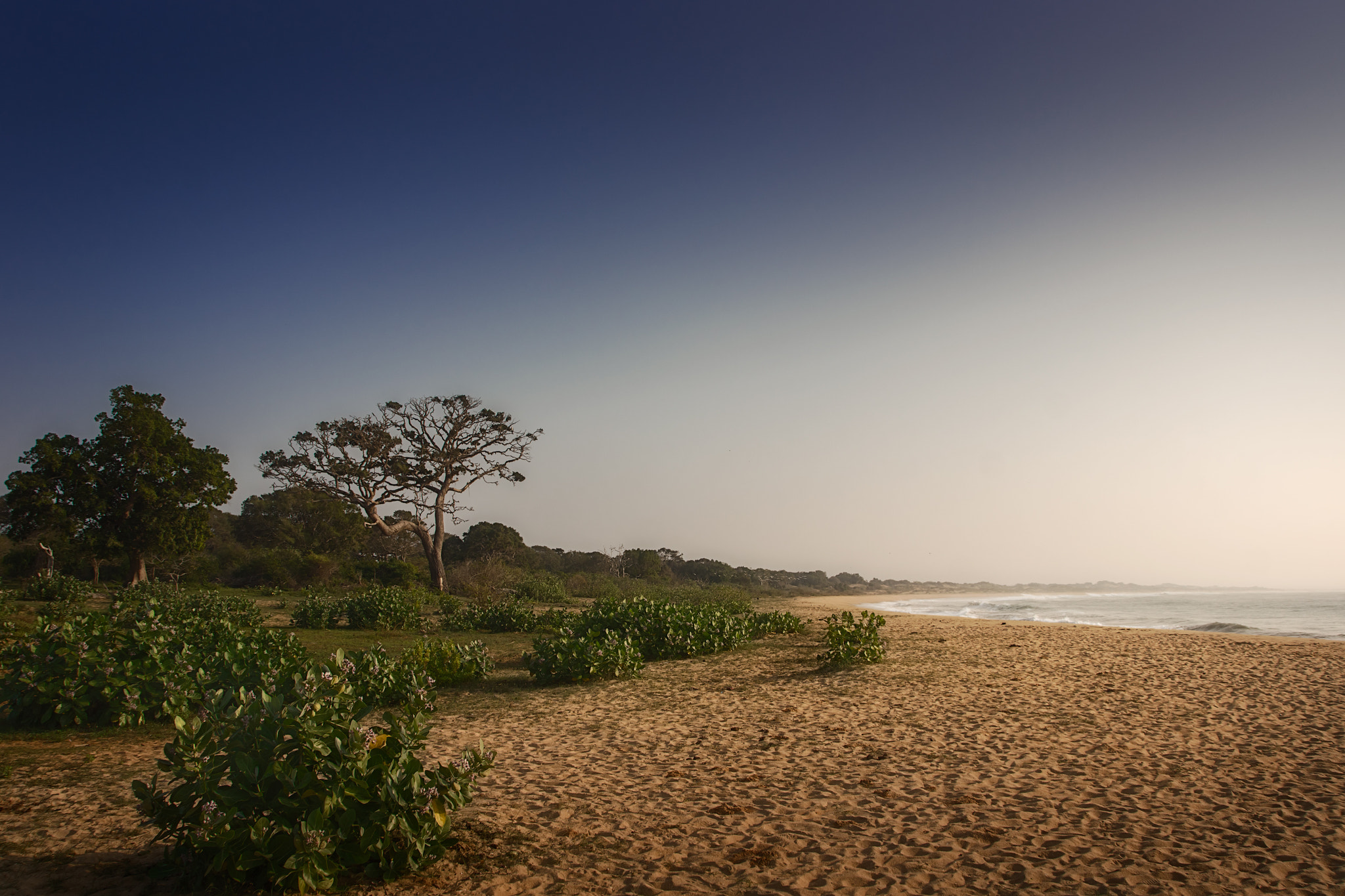 Sony SLT-A77 + Tamron AF 28-105mm F4-5.6 [IF] sample photo. Morning light photography