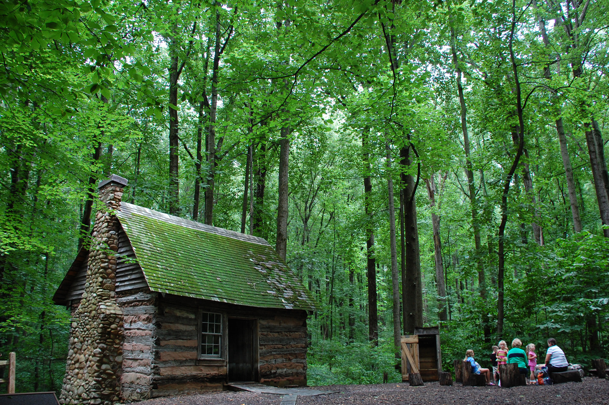 Nikon D40 sample photo. Cabin in the forest photography