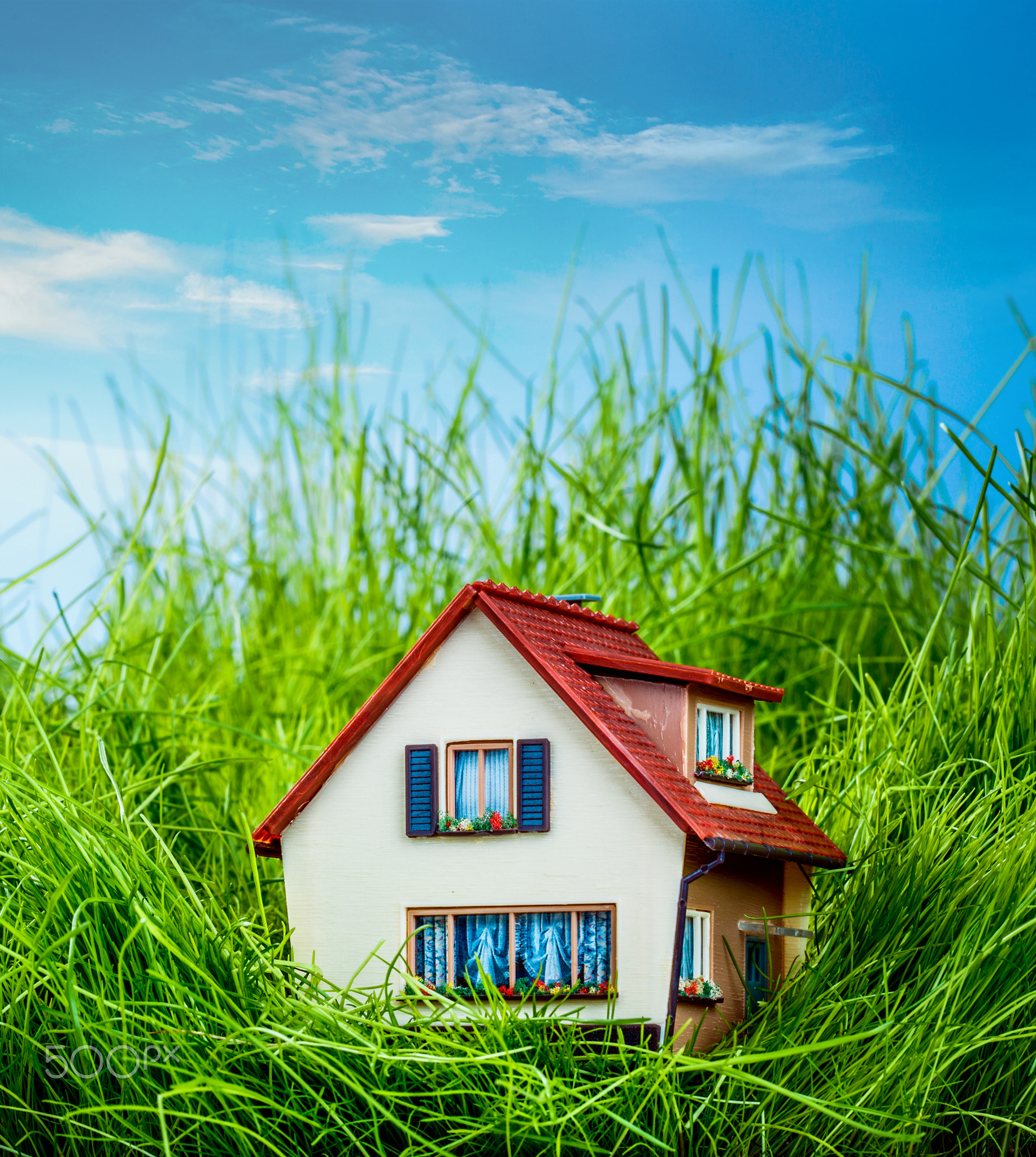 home insurance