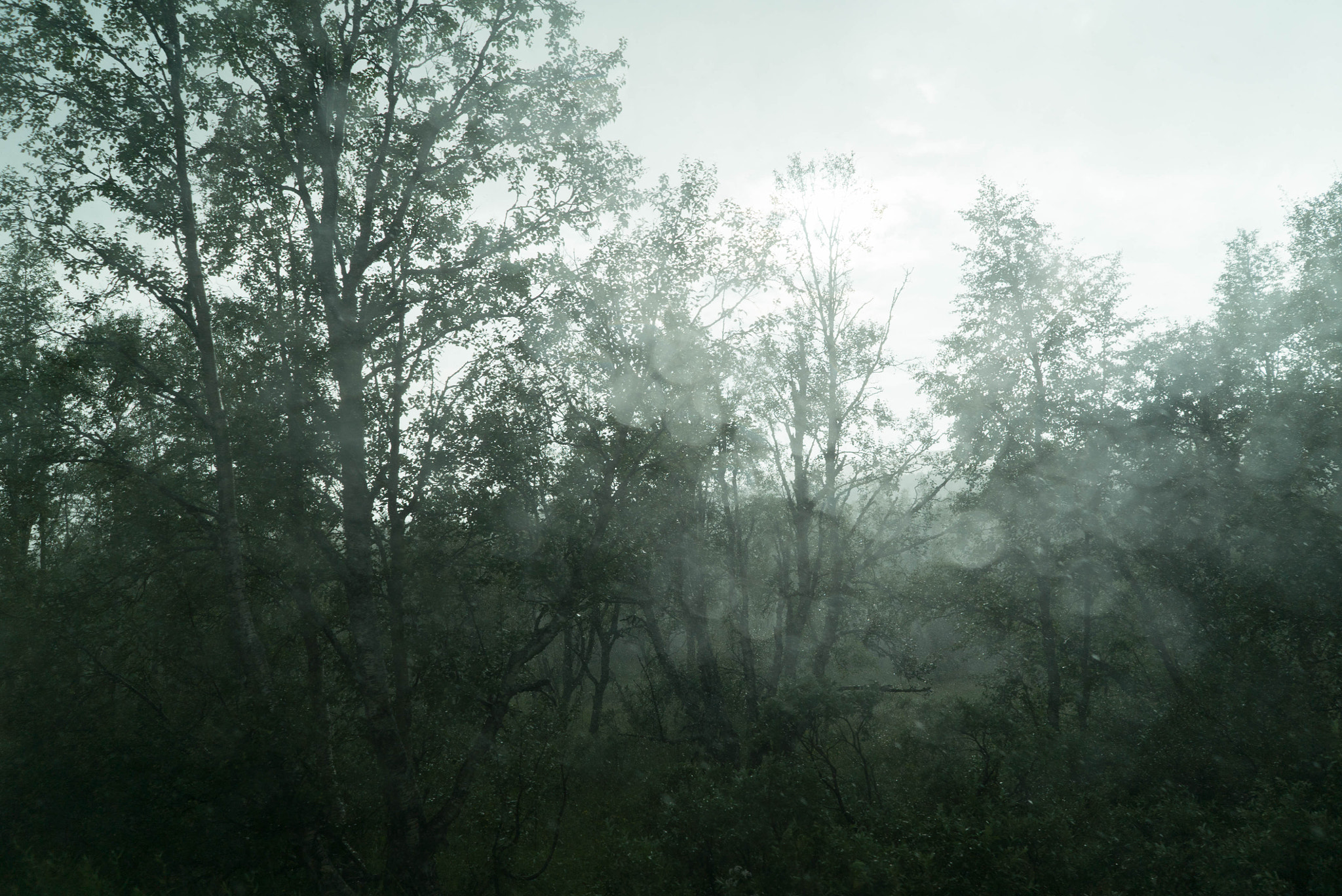 Sony FE 28mm F2 sample photo. Rainy day in norway photography