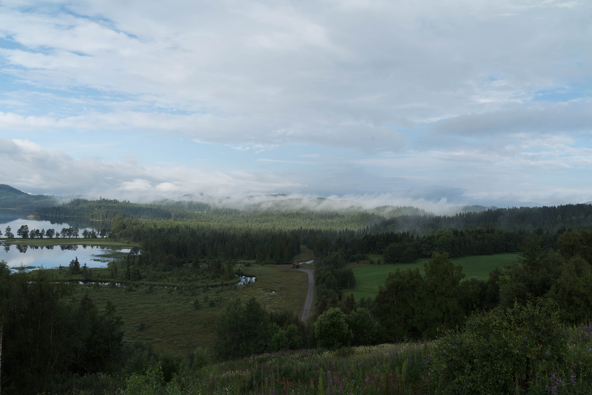 Sony FE 28mm F2 sample photo. Morning in norway photography