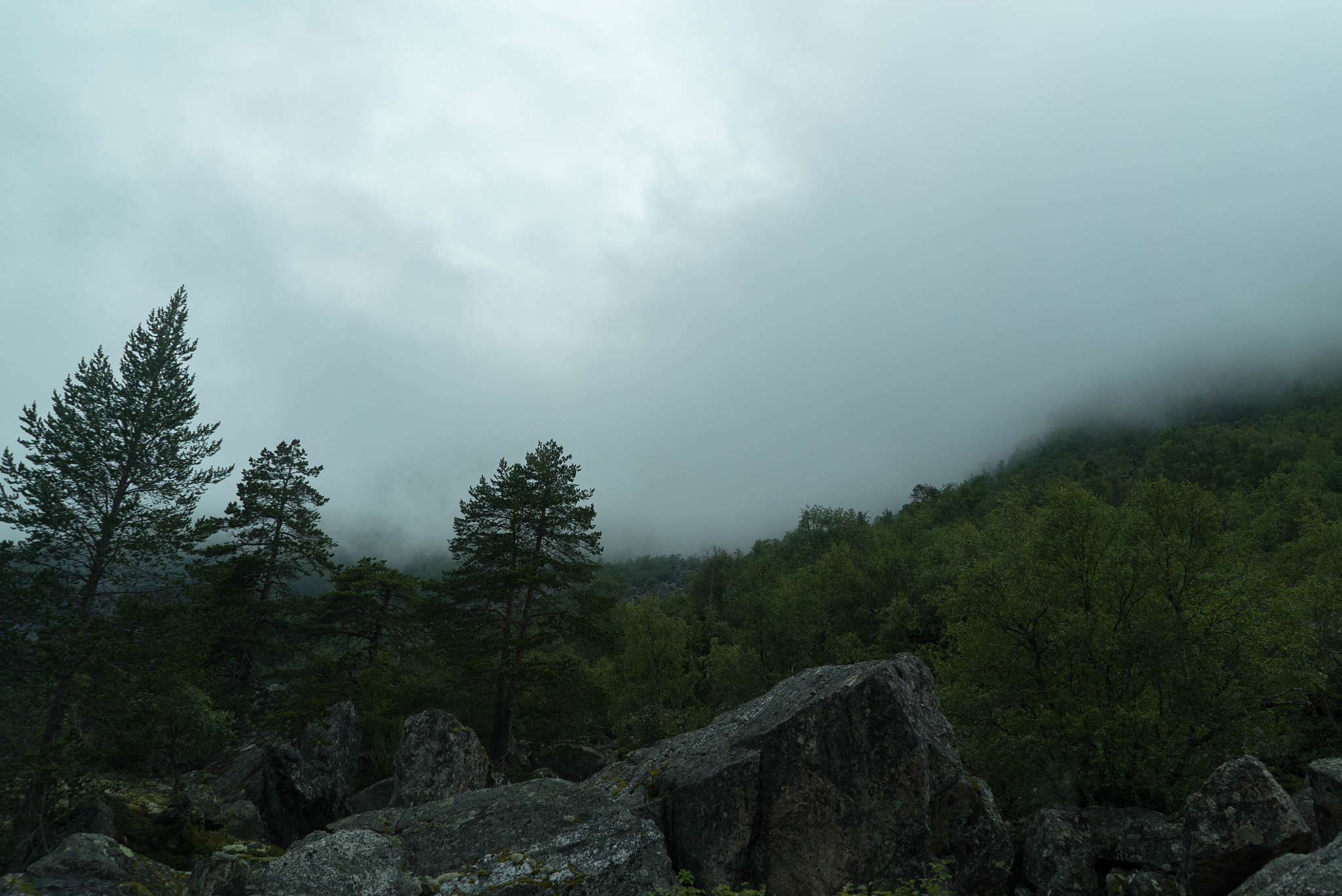 Sony FE 28mm F2 sample photo. Awesome picture of norway photography