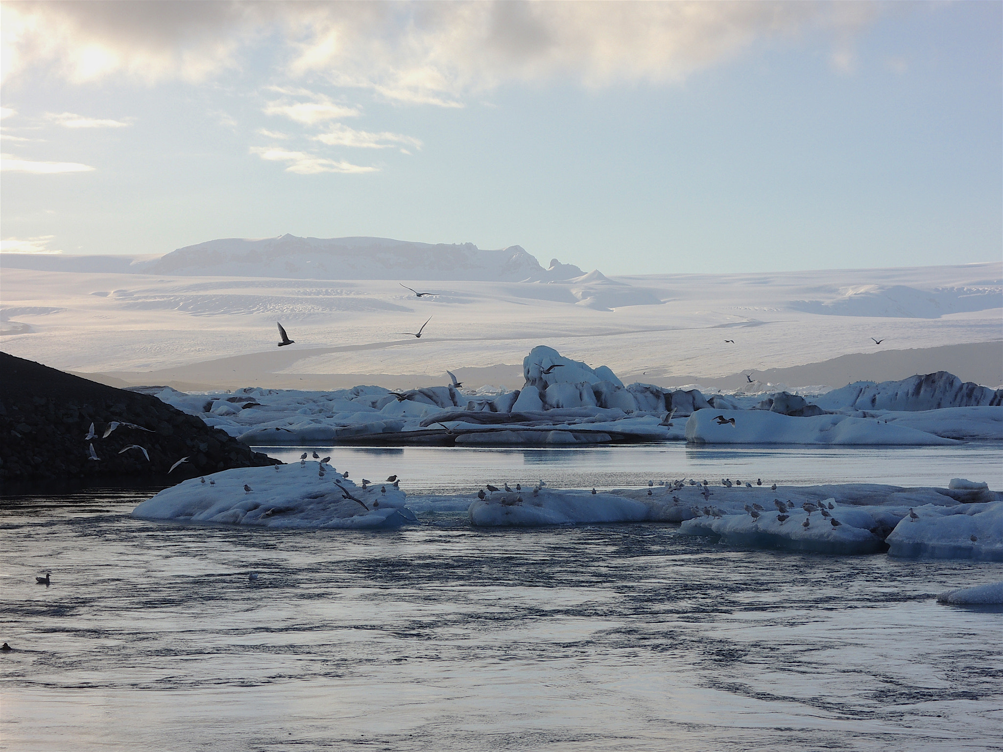 Nikon Coolpix P310 sample photo. Flock of birds over jokulsarlon photography