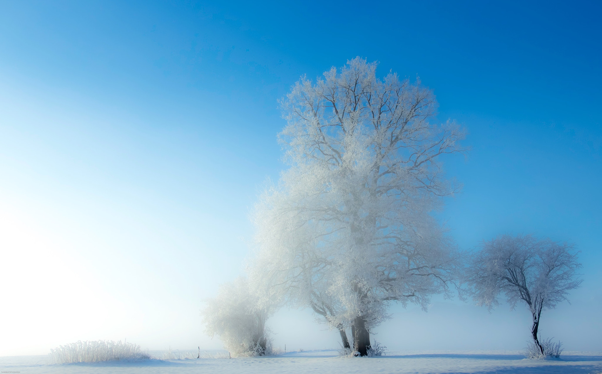 Canon EF 24-105mm F3.5-5.6 IS STM sample photo. Fine winter morning photography