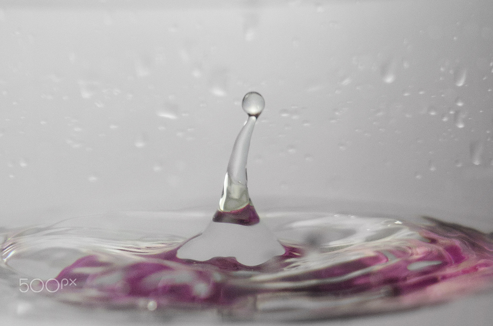 Nikon AF-S DX Micro Nikkor 40mm F2.8 sample photo. Rosewater splash photography