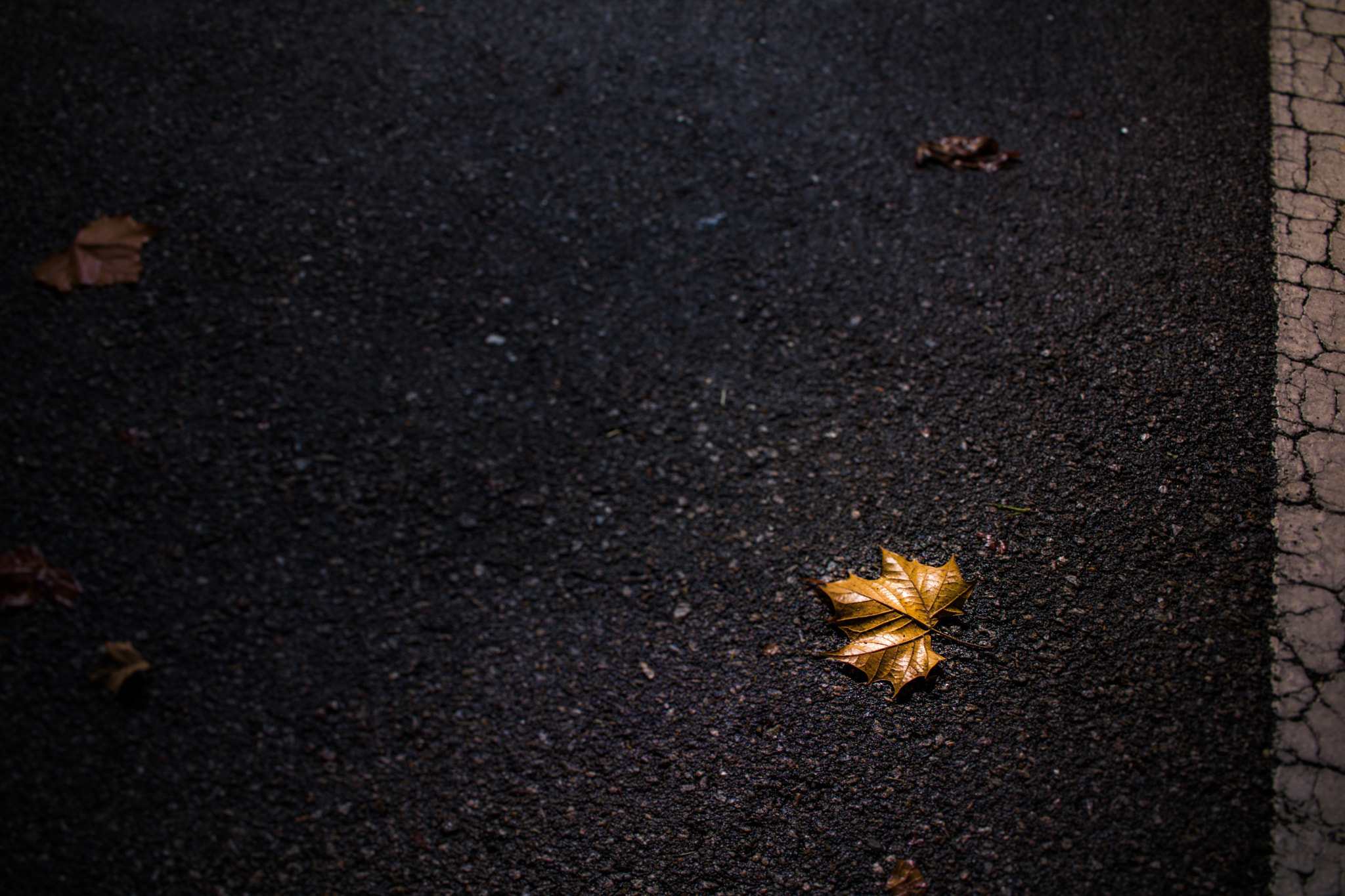 Canon EF-S 24mm F2.8 STM sample photo