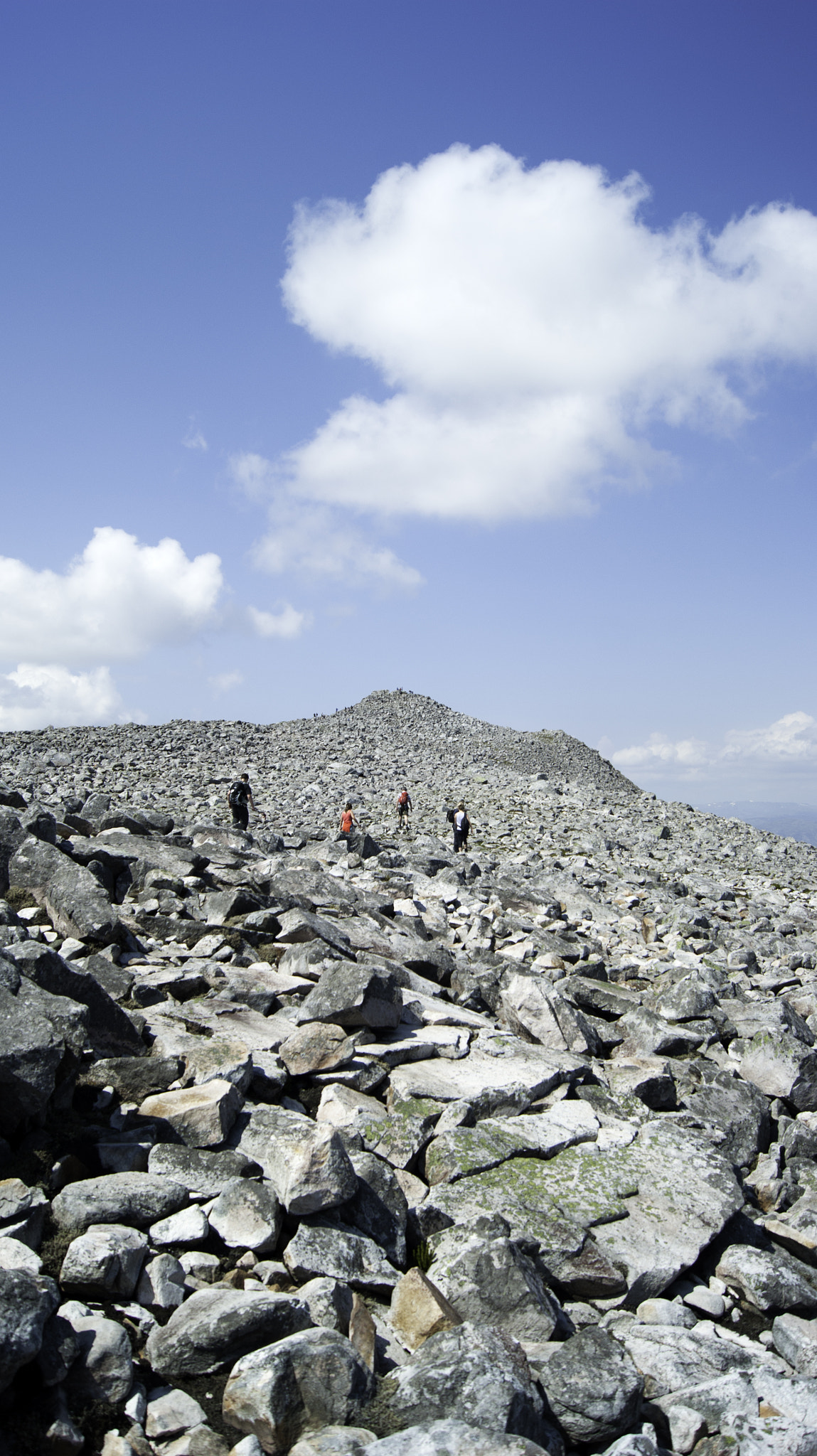Sony Alpha DSLR-A290 + Sony DT 18-55mm F3.5-5.6 SAM sample photo. Schiehallion munro, scotland photography