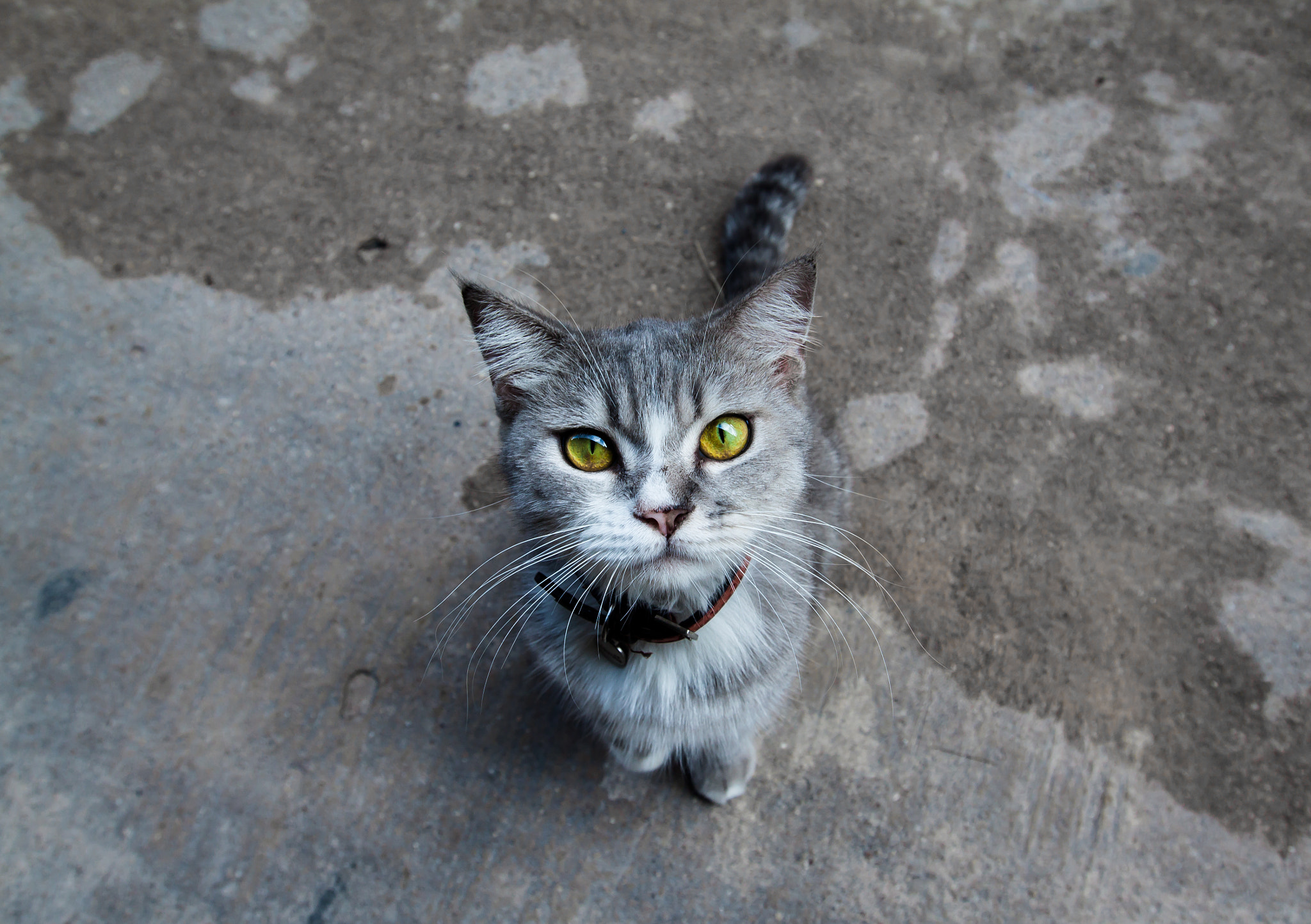 Canon EF 16-35mm F2.8L II USM sample photo. That look ! photography