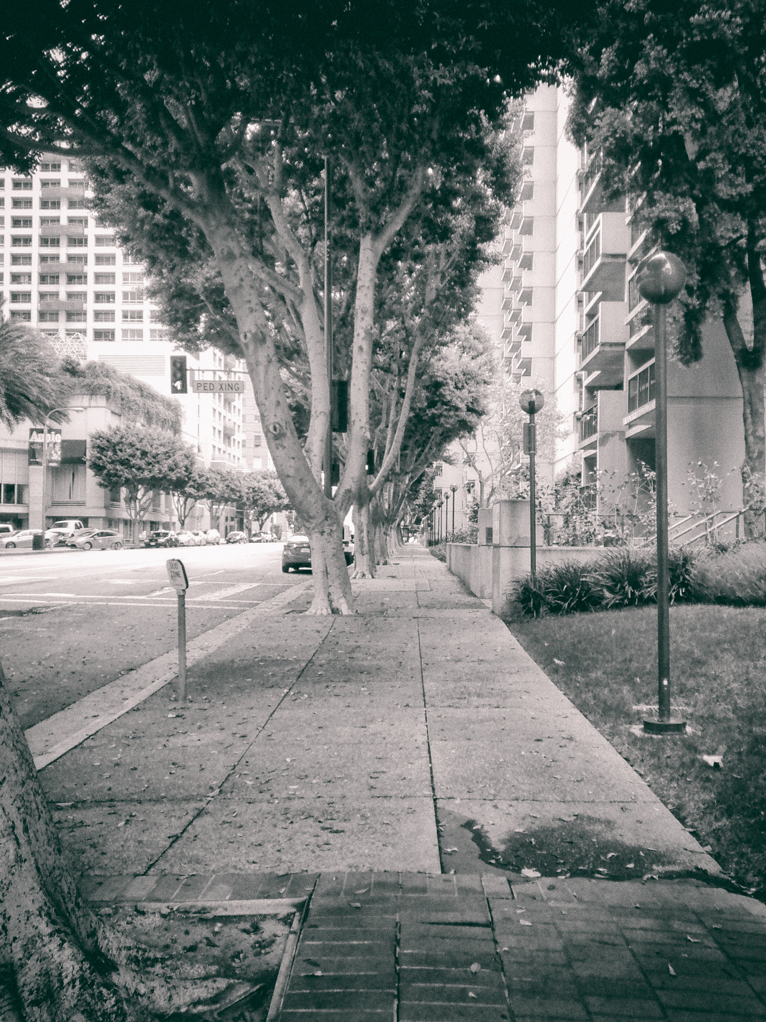 Motorola Moto G with 4G LTE (1st Gen) sample photo. Los angeles photography