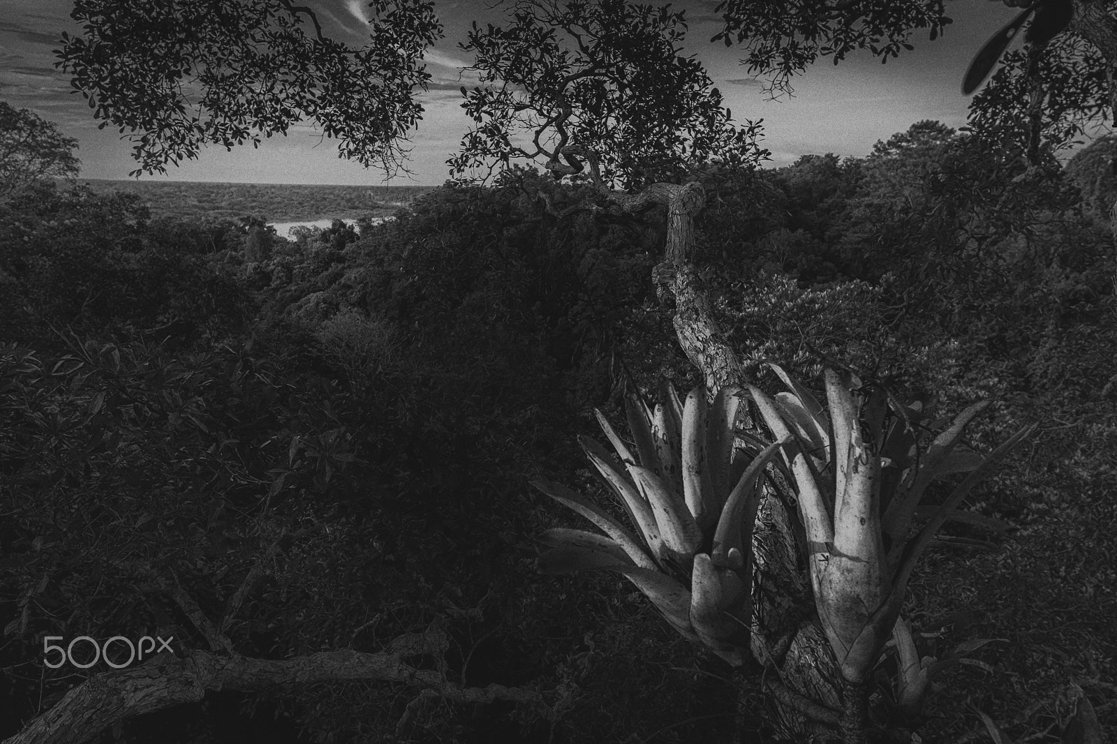 Nikon AF-S Nikkor 16-35mm F4G ED VR sample photo. Amazon landscape photography