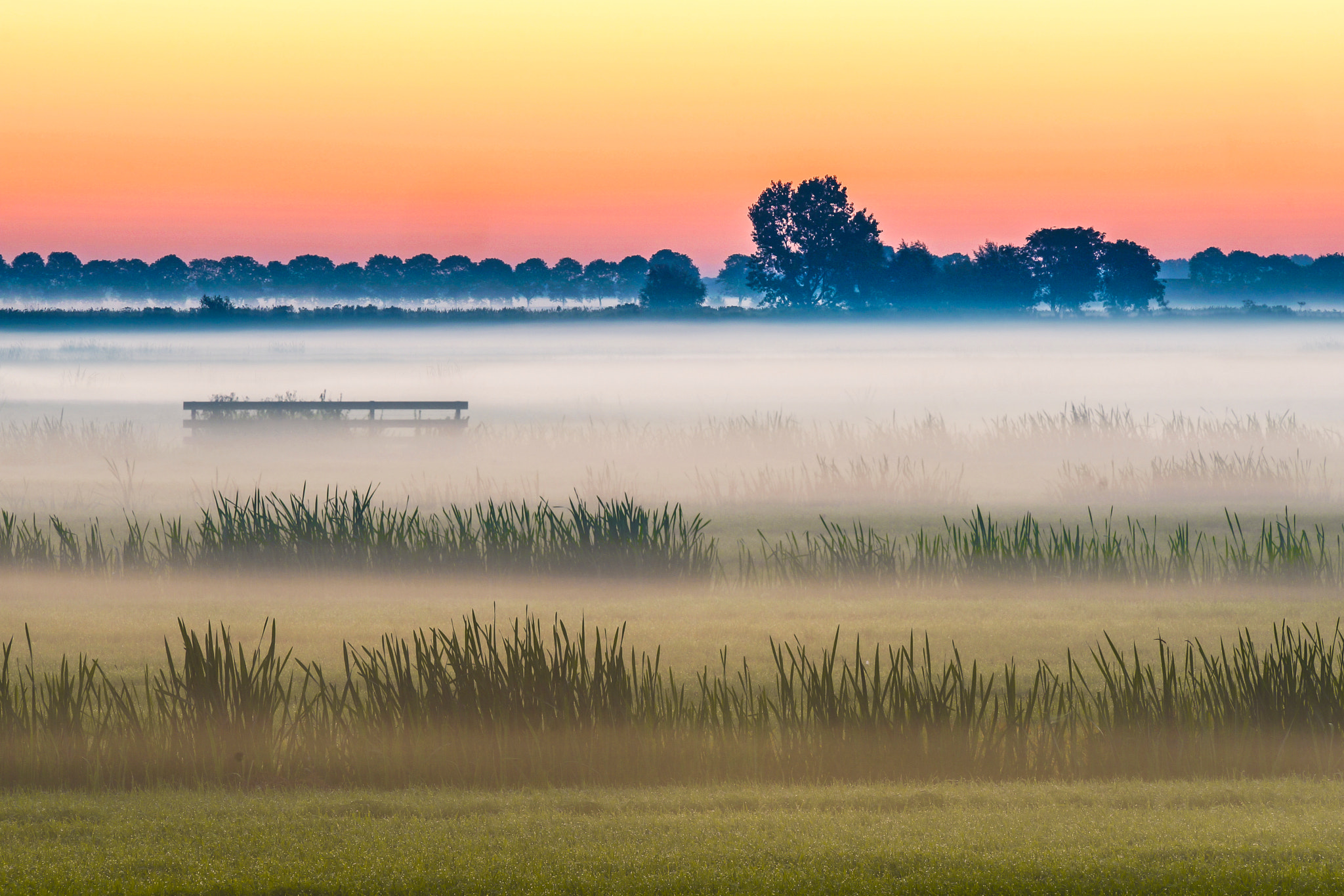Sony a99 II + Minolta/Sony AF 70-200mm F2.8 G sample photo. Summer sunrise photography