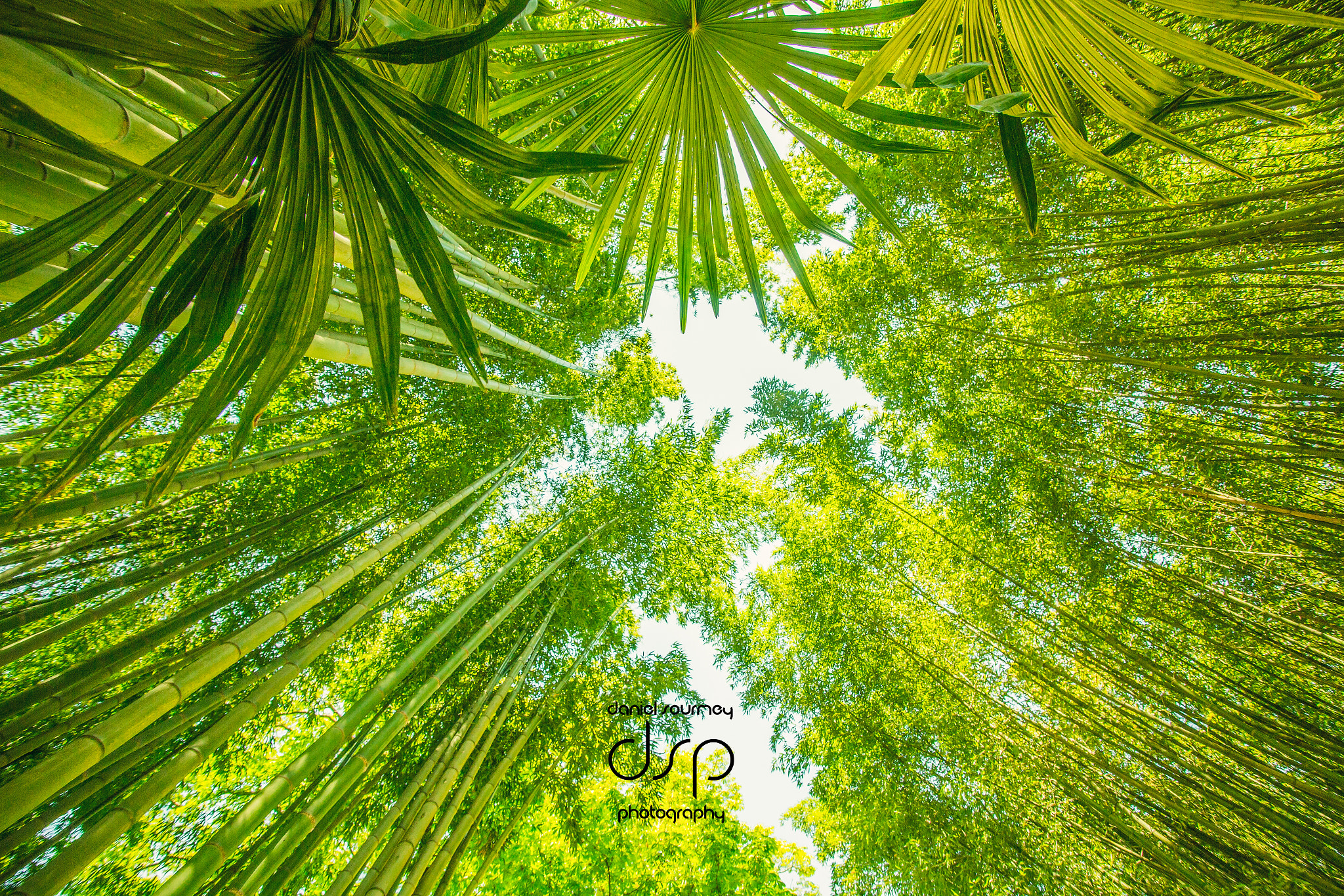 Sigma 17-35mm f/2.8-4 EX DG Aspherical HSM sample photo. #blue photography