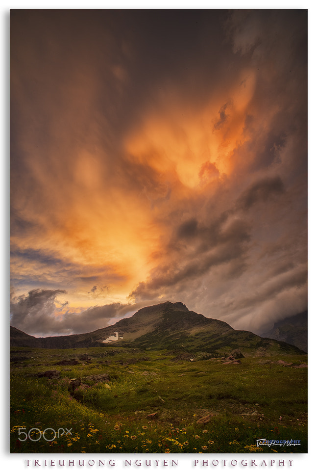 Nikon D810 + Nikon AF Nikkor 14mm F2.8D ED sample photo. Logan pass, glacier national park, mo photography