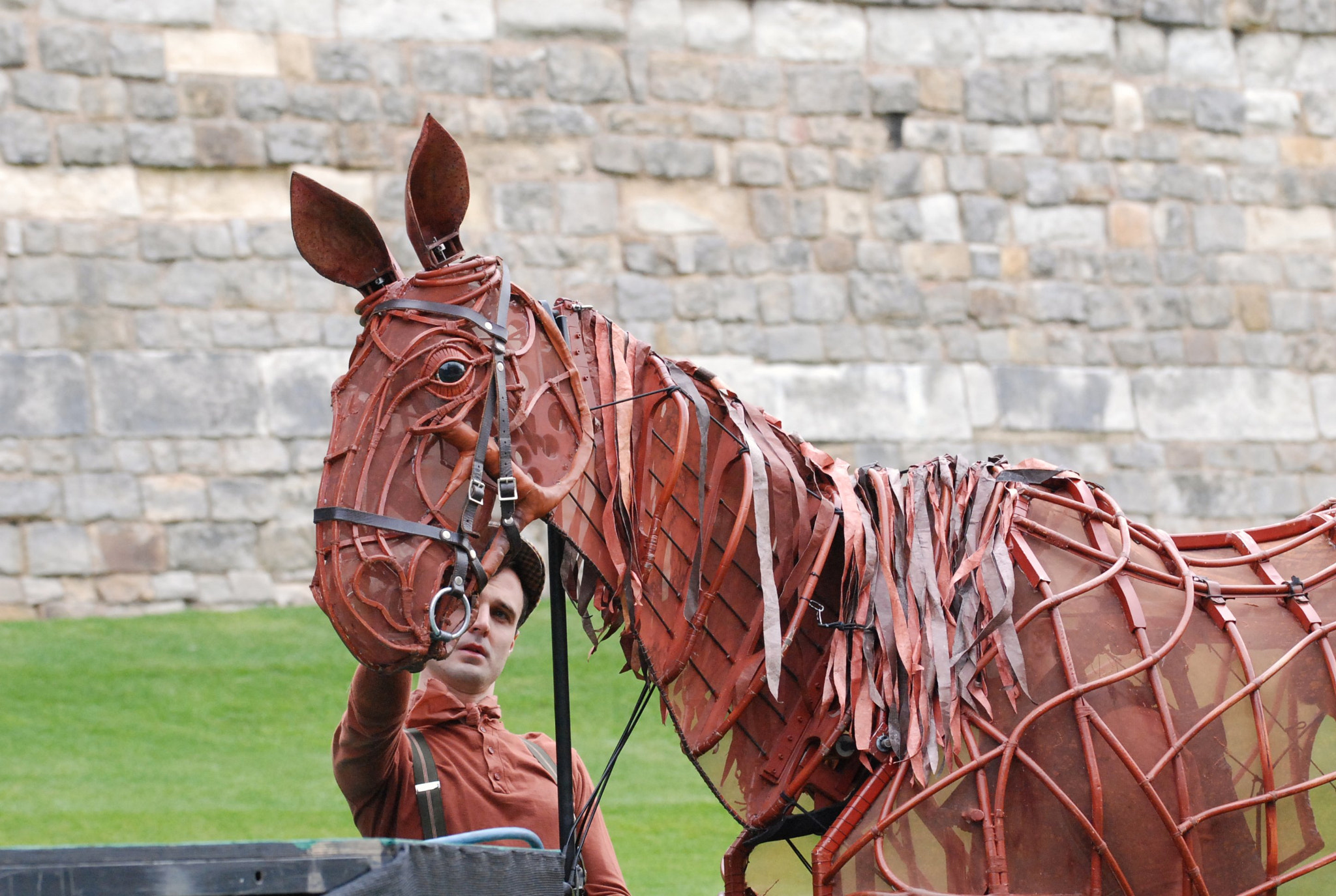 Sigma 105mm F2.8 EX DG OS HSM sample photo. War horse photography