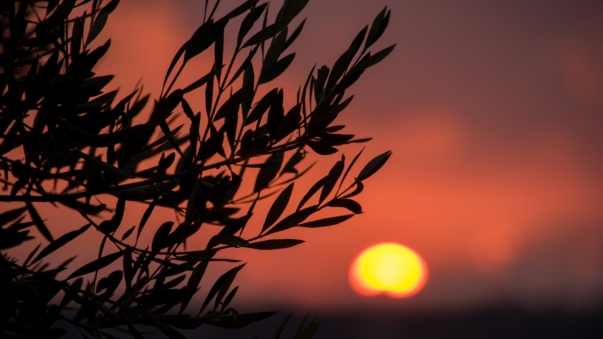 Pentax K-3 II sample photo. Greek sunset photography
