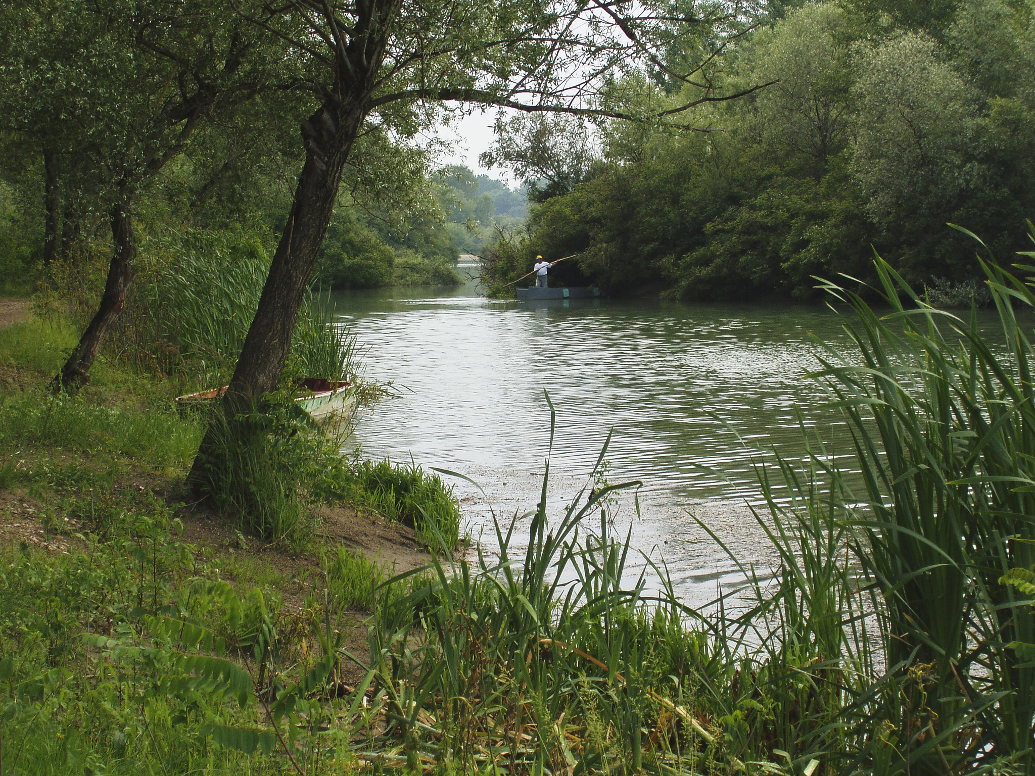 Olympus X-3,C-60Z sample photo. Ardas river photography