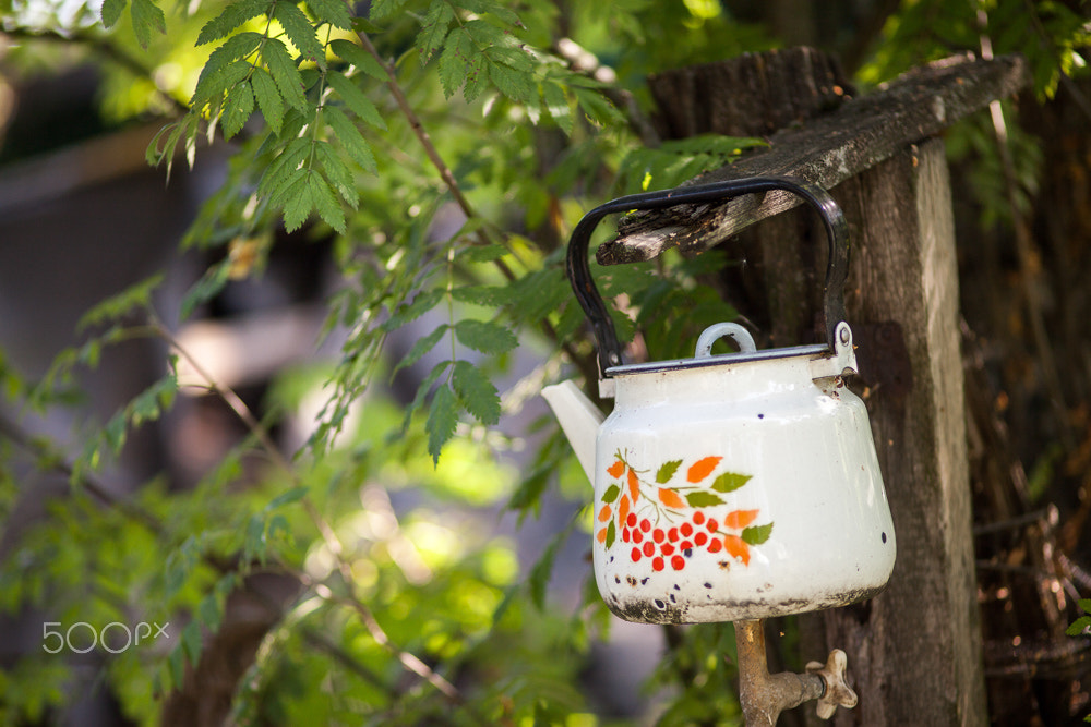 Canon EF 100mm F2.0 USM sample photo. 8 photography