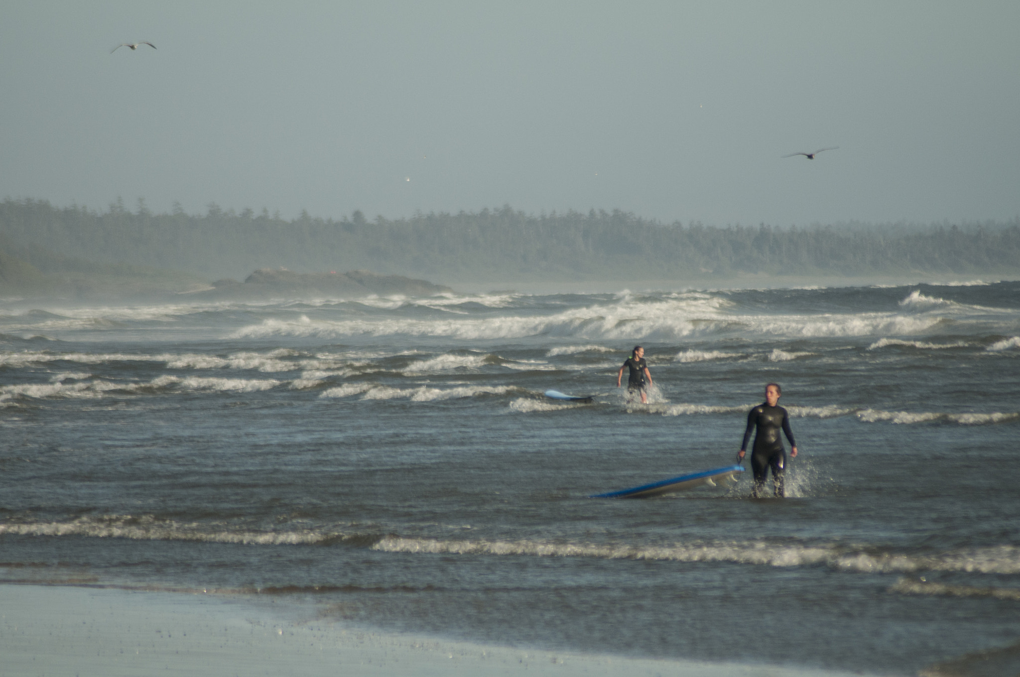 Nikon D300S sample photo. Surf life photography