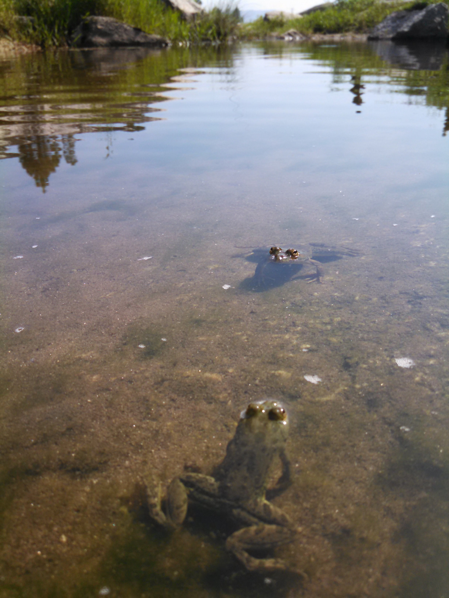 Motorola DROID RAZR HD sample photo