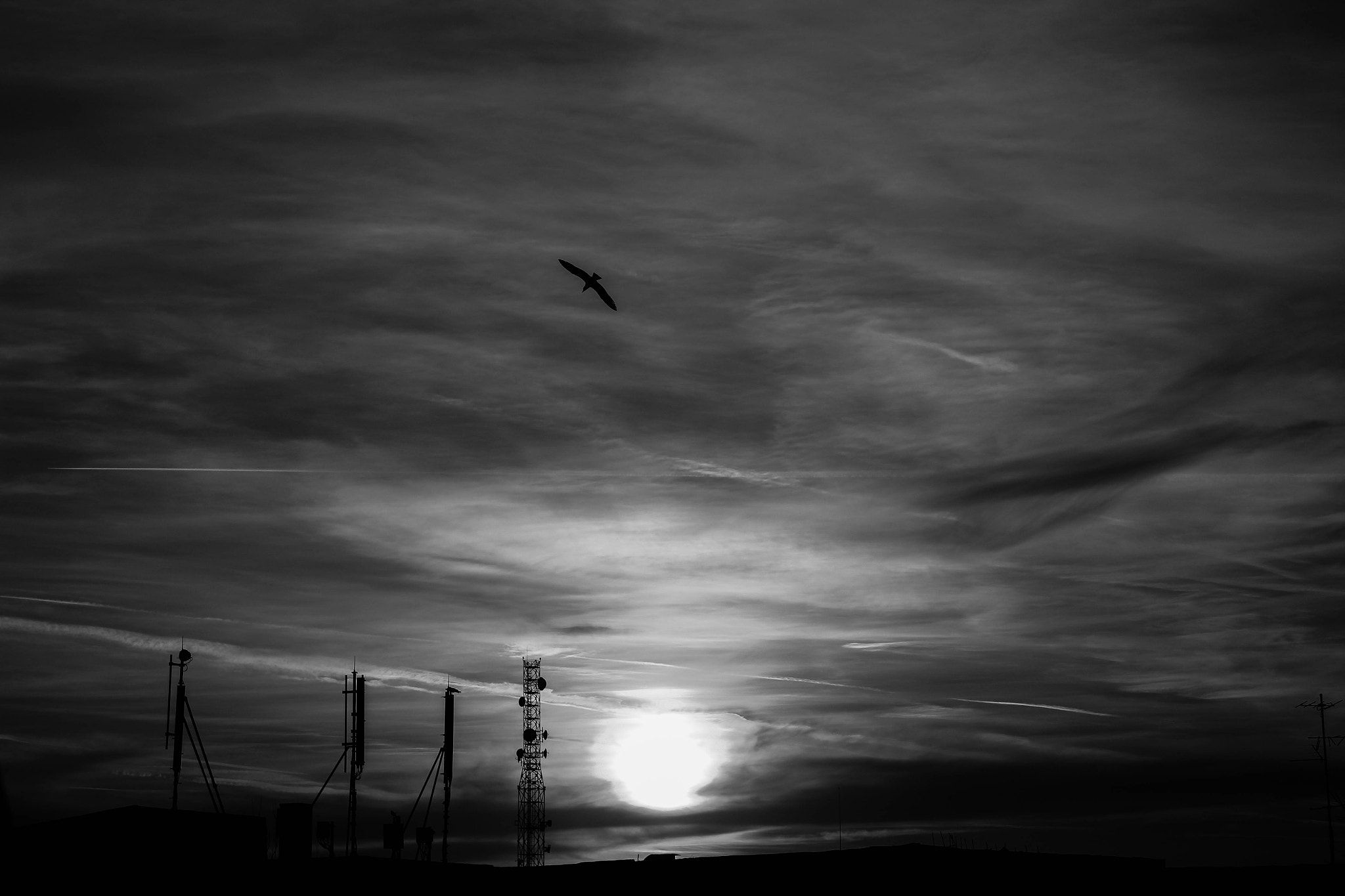 Canon EF 28-80mm f/3.5-5.6 sample photo. Untitled05 photography