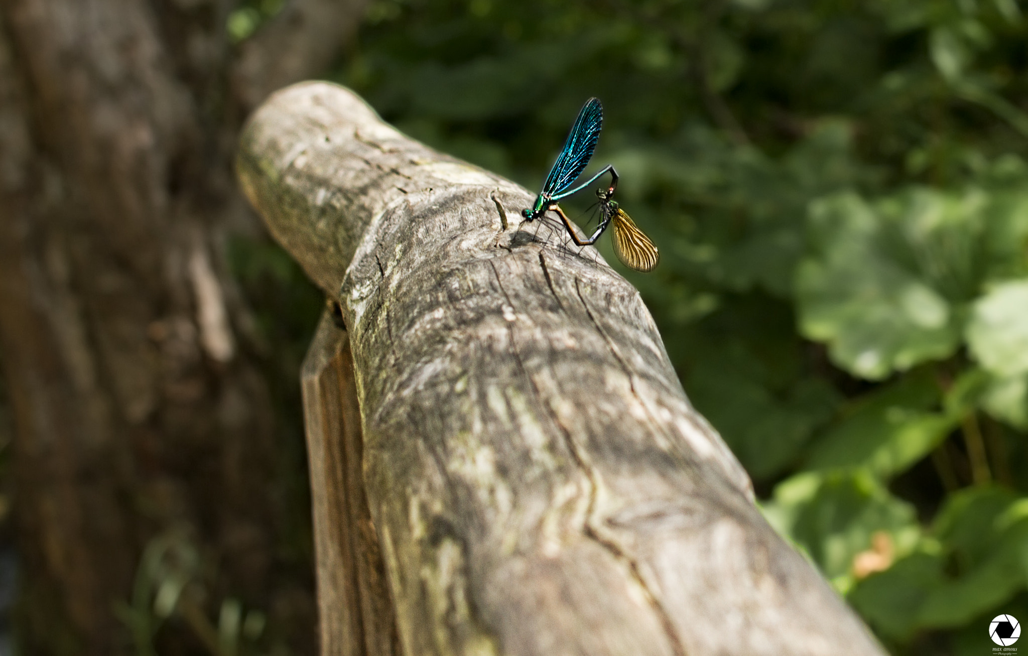 Canon EOS 7D + Canon EF 35mm F2 sample photo. Love season photography