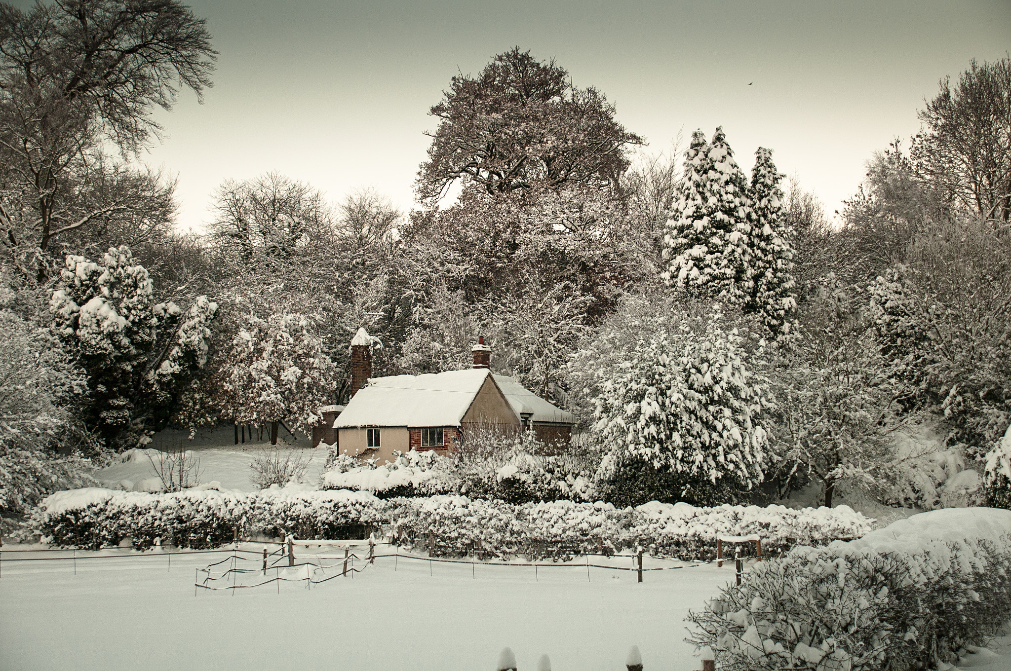 Nikon D300 sample photo. Snow house photography