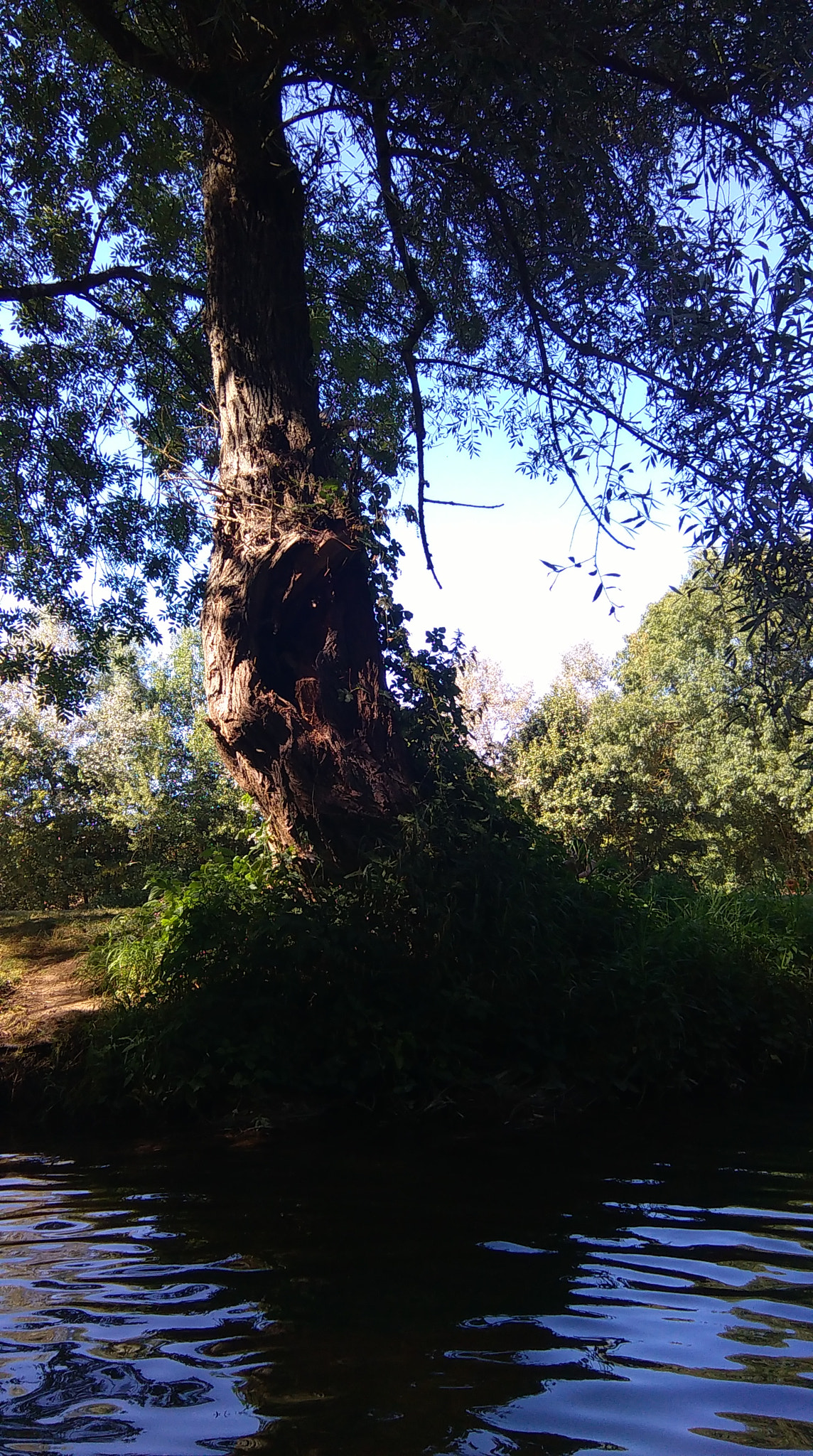 HTC DESIRE 620 sample photo. River photography