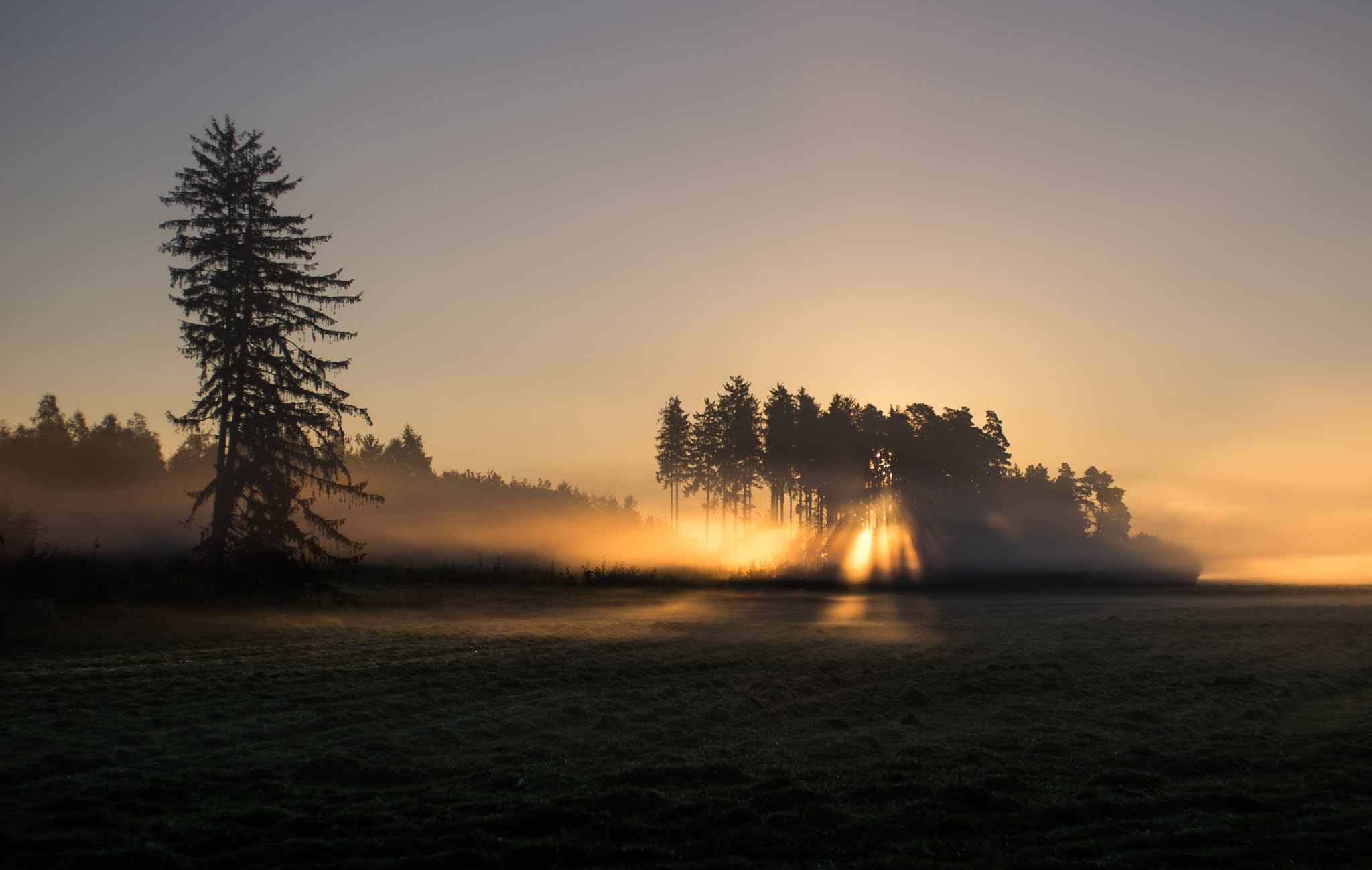 Pentax K-3 II + Pentax smc FA 43mm F1.9 Limited sample photo. Morning peace photography