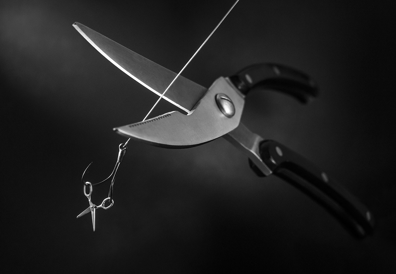 Canon EF 35-80mm f/4-5.6 sample photo. On live bait photography