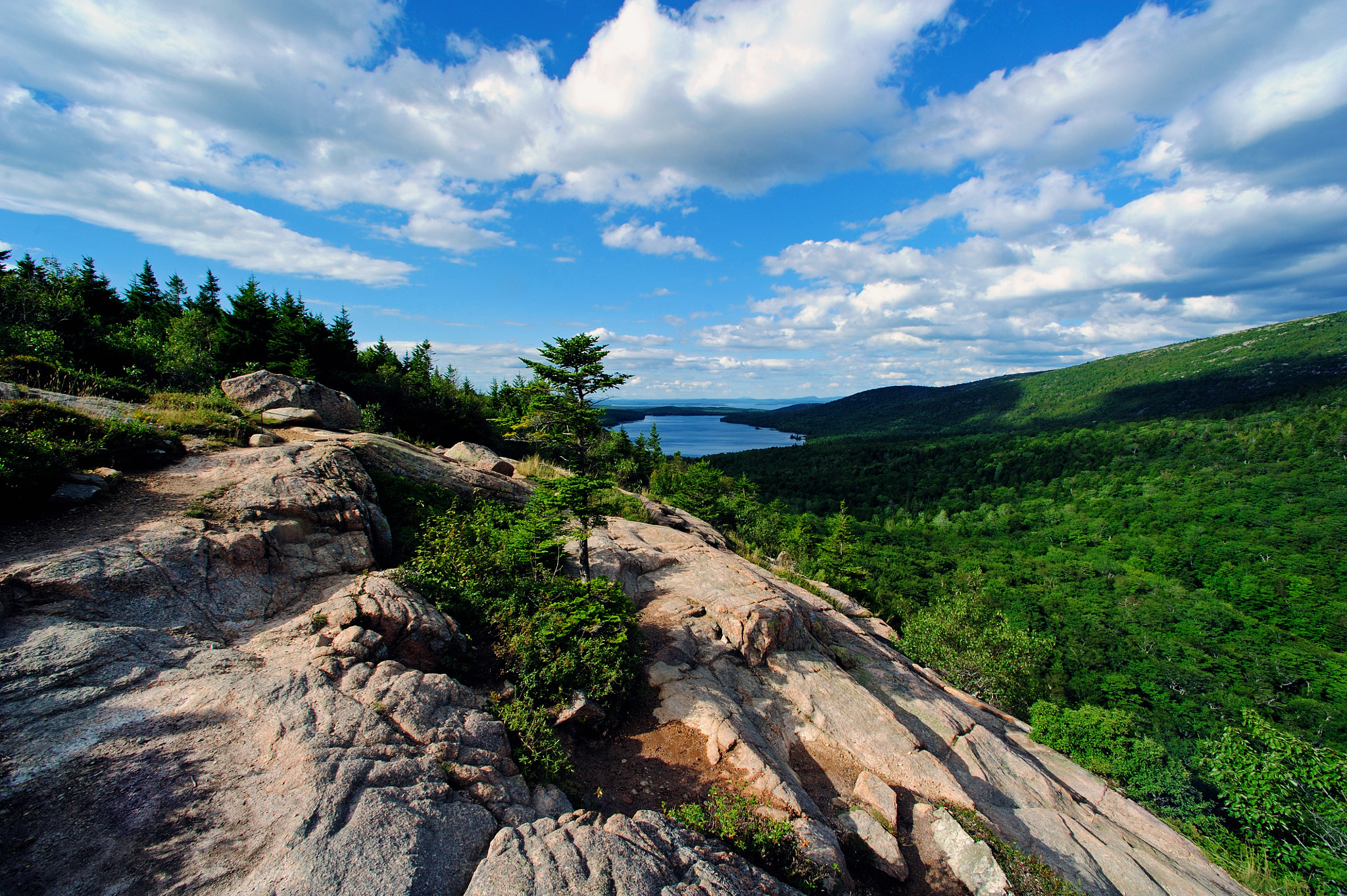 Nikon D700 + Nikon AF Nikkor 14mm F2.8D ED sample photo. Acadia photography