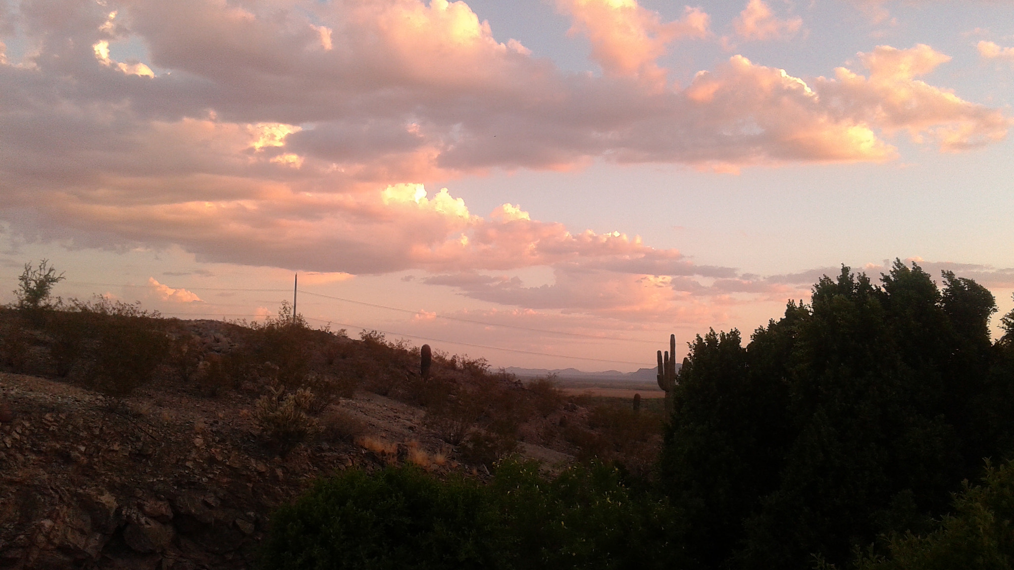 Samsung Galaxy Avant sample photo. () photography