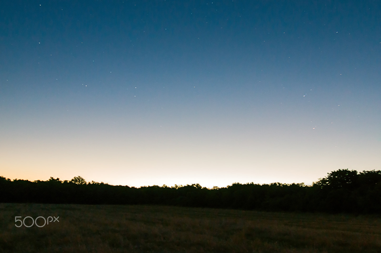 Canon EOS 500D (EOS Rebel T1i / EOS Kiss X3) sample photo. Field of stars photography