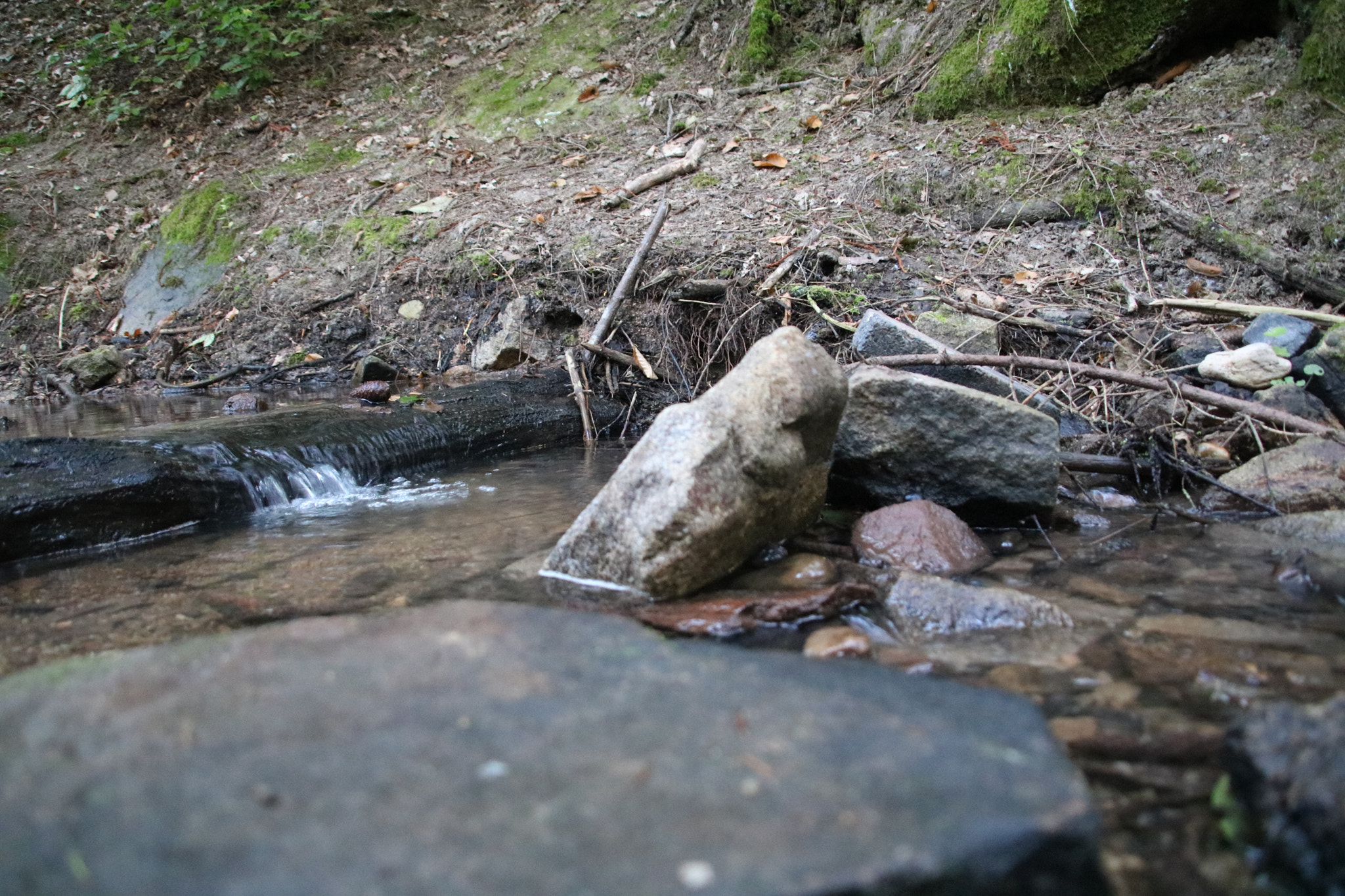 Canon EOS 750D (EOS Rebel T6i / EOS Kiss X8i) + Canon TS-E 90mm F2.8 Tilt-Shift sample photo. Img photography