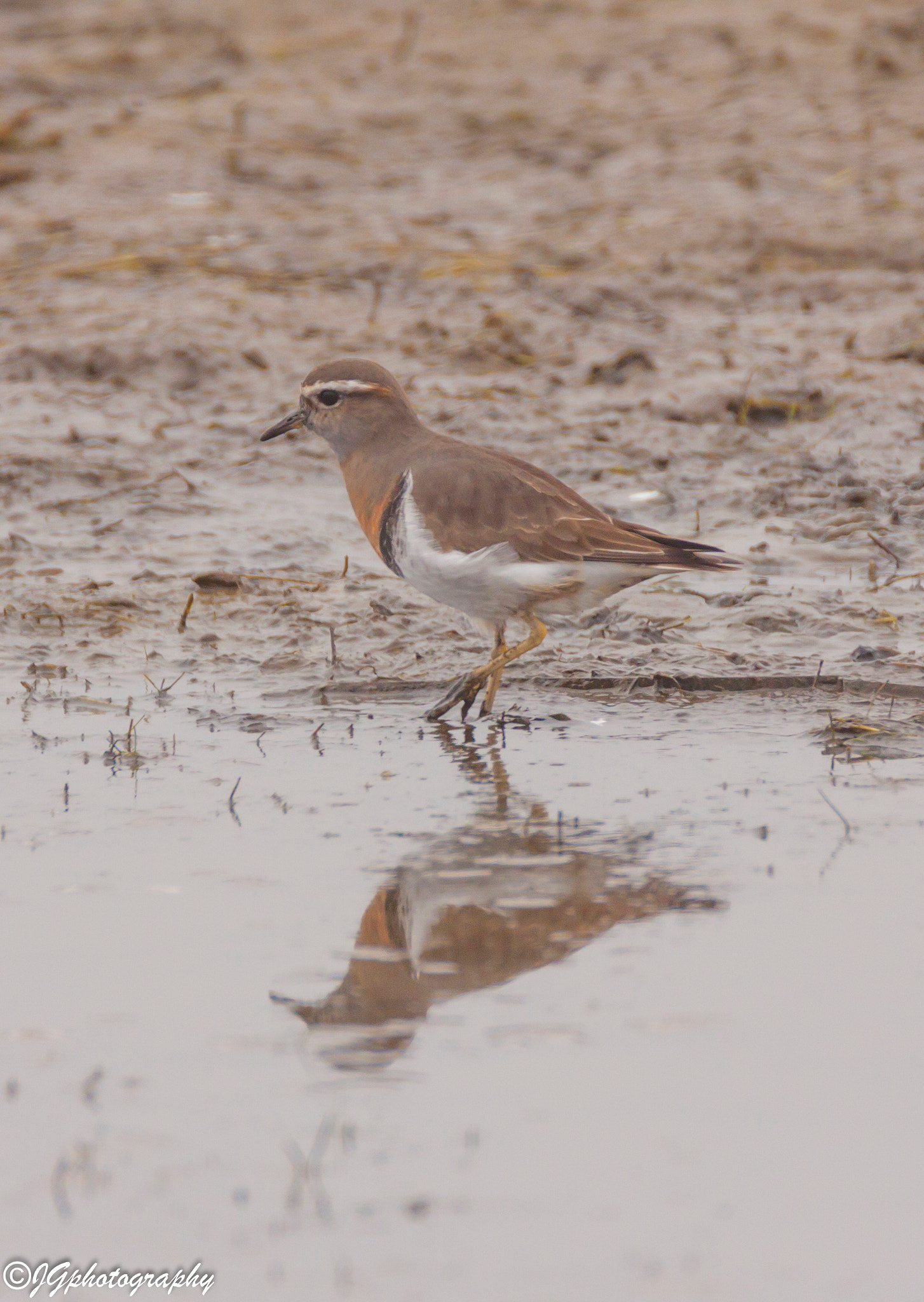 Tamron SP 150-600mm F5-6.3 Di VC USD sample photo. #photography #photo #naturephotography #naturephot ... photography