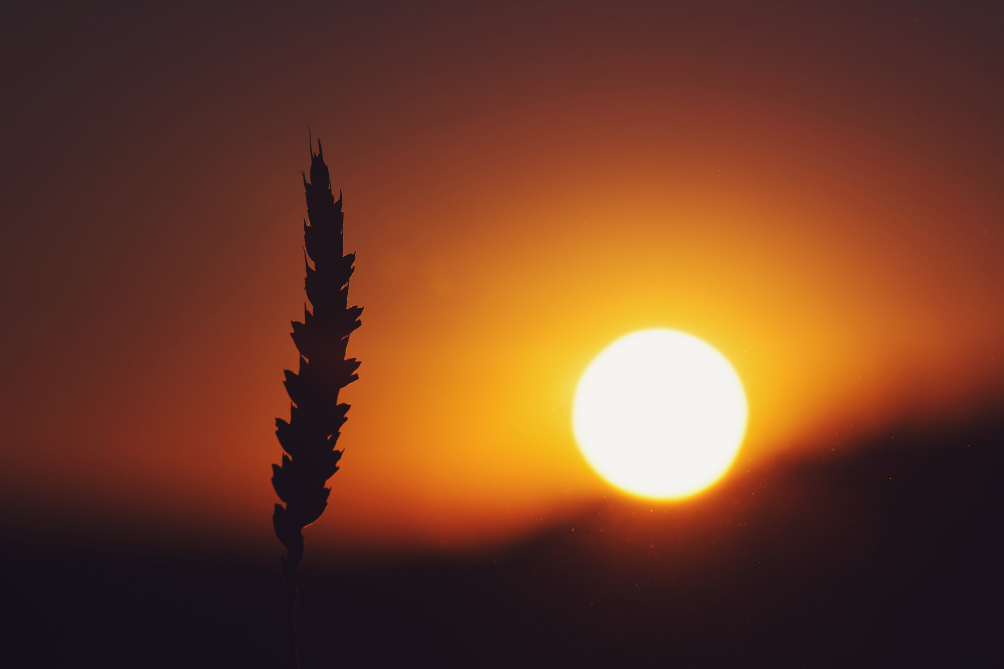 Nikon AF-S Nikkor 70-200mm F2.8G ED VR II sample photo. Dark sunset photography