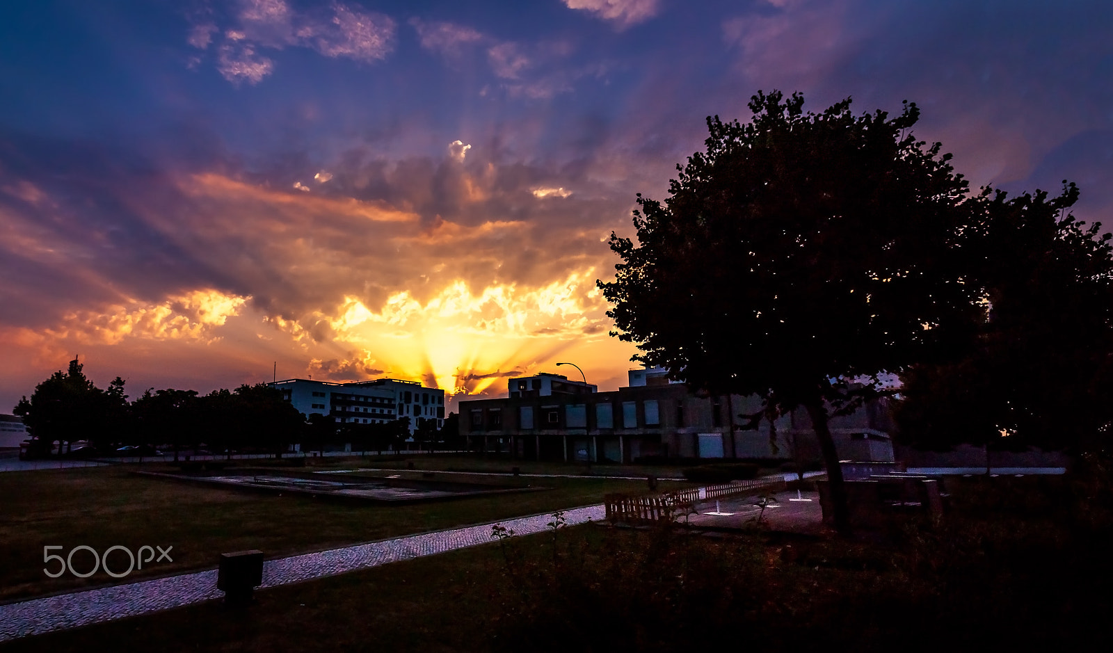 Canon EOS 450D (EOS Rebel XSi / EOS Kiss X2) sample photo. The sun is setting :) photography
