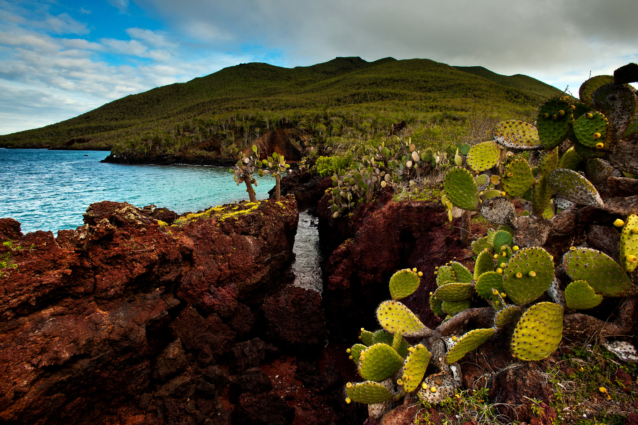 Nikon D3X sample photo. [ galápagos - enchanted islands ] photography