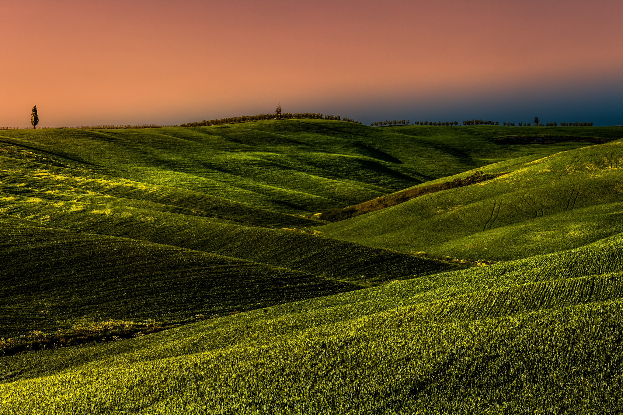 Canon EF 70-200mm F4L IS USM sample photo. Fields in tuscany photography