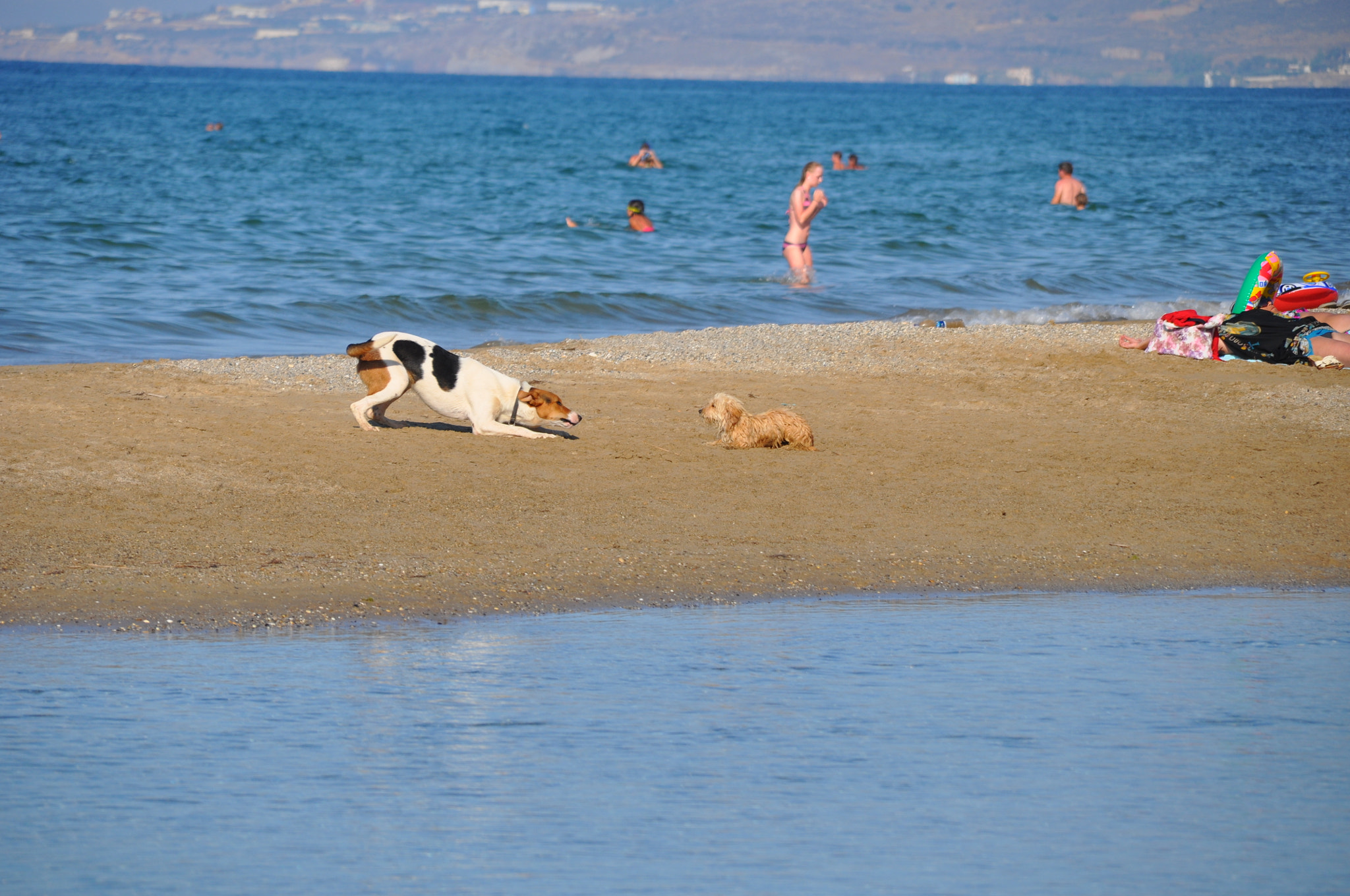 Sigma 18-200mm F3.5-6.3 DC OS HSM sample photo. Time to play photography
